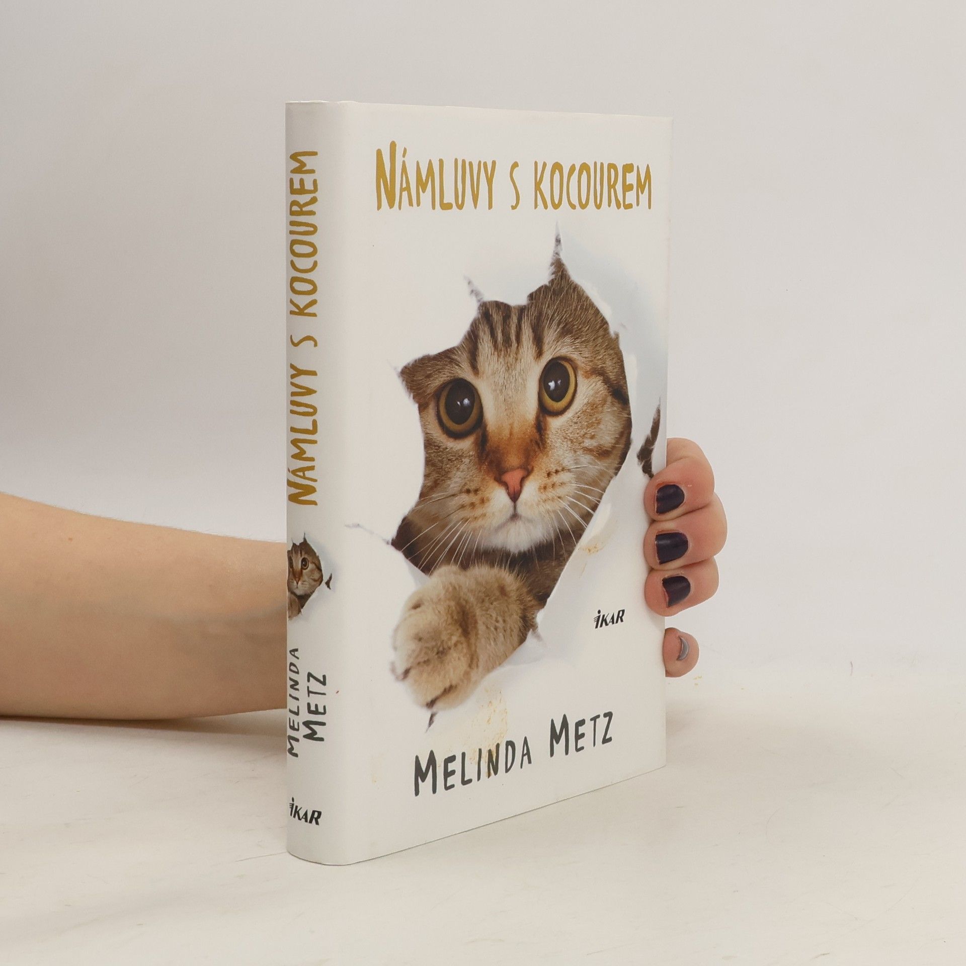 Melinda Metz Námluvy s kocourem