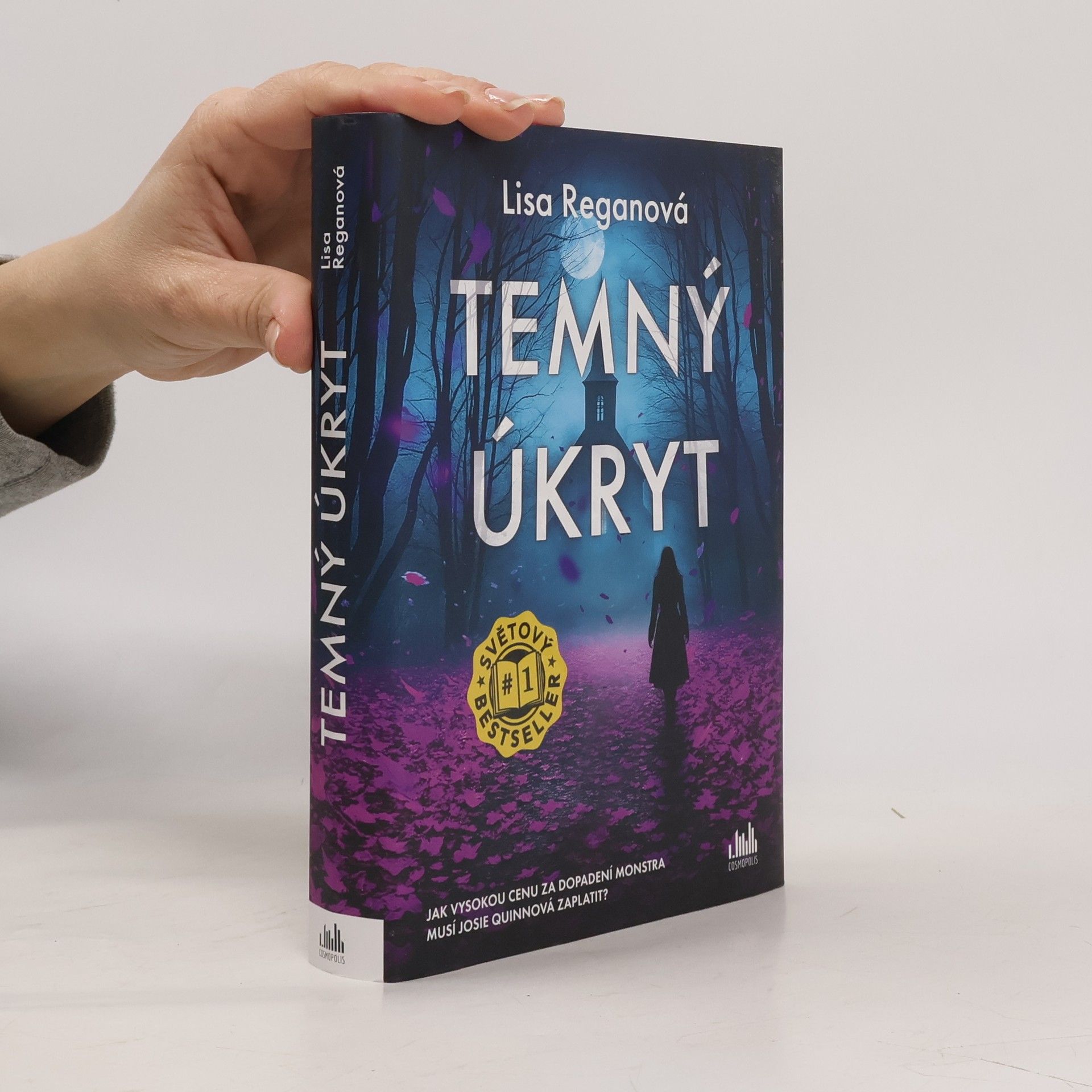Lisa Regan Temný úkryt