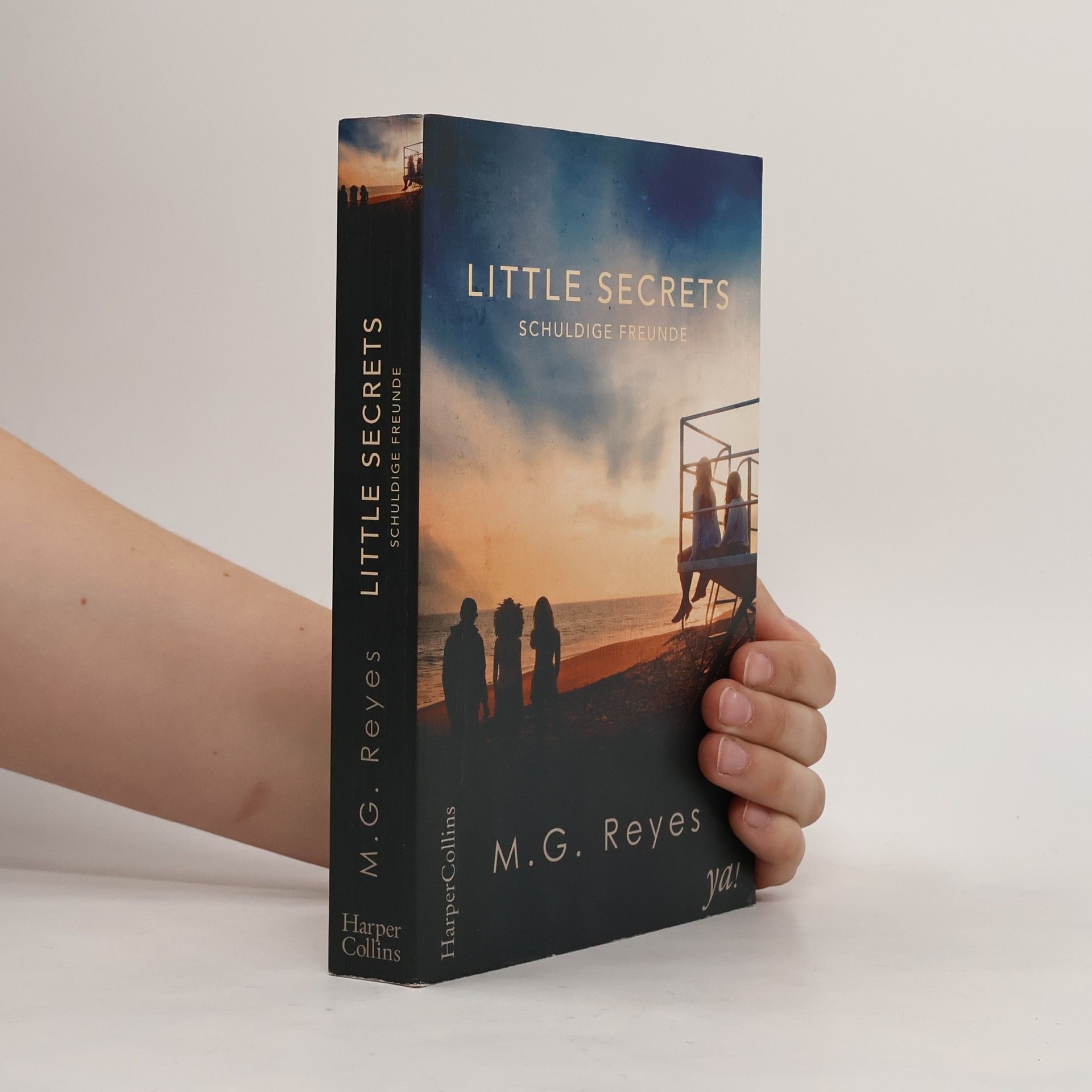 M. G. Reyes Little Secrets - Schuldige Freunde