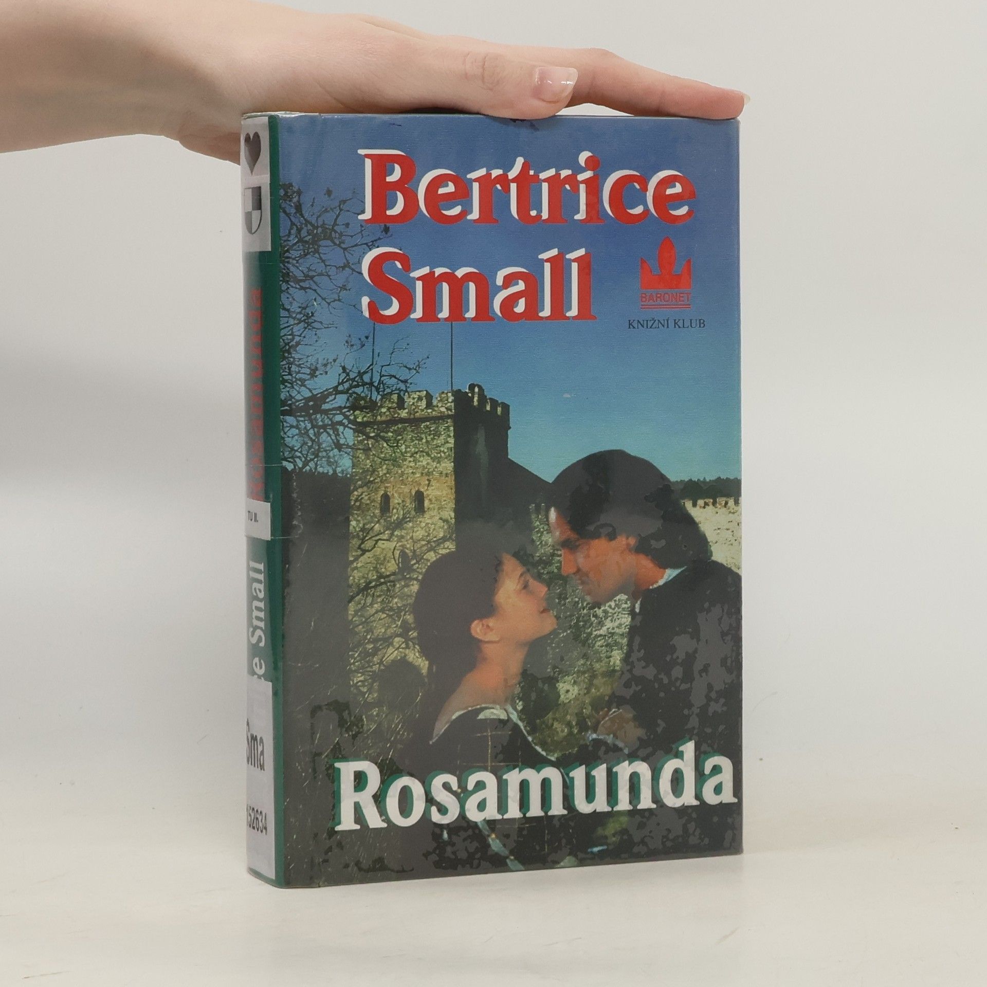 Bertrice Small Rosamunda