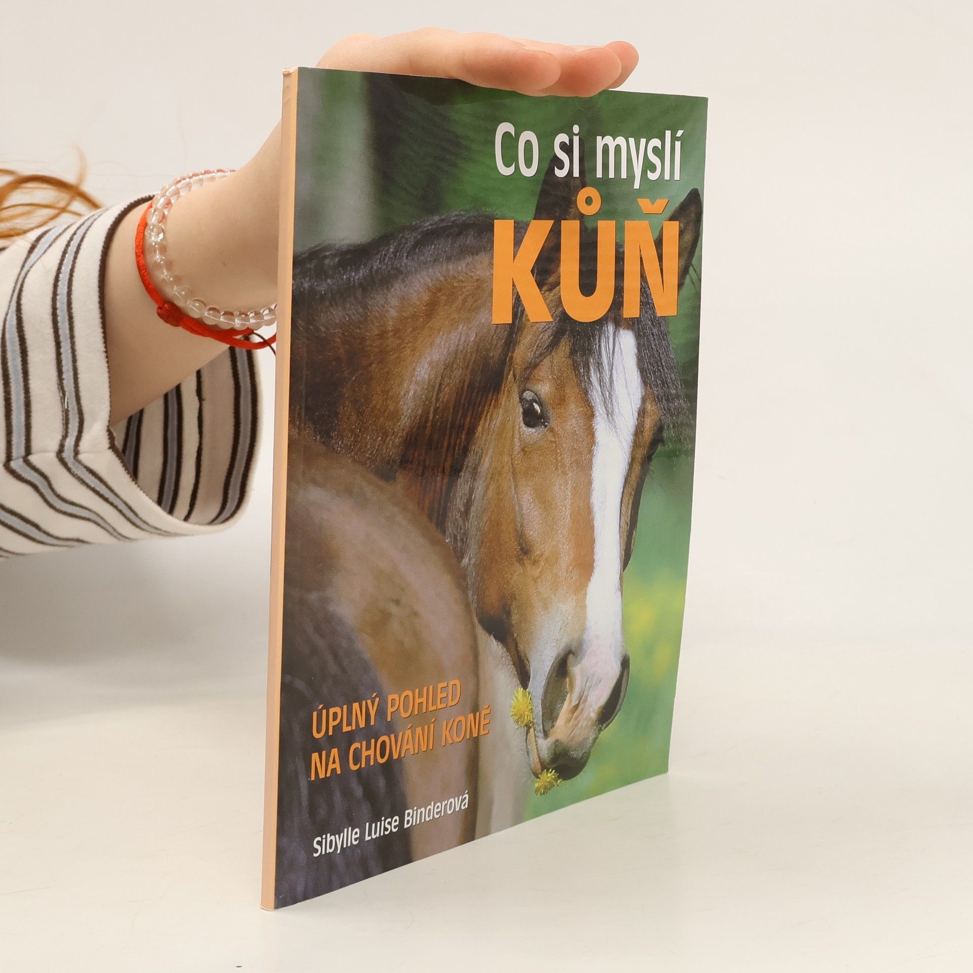 Sibylle Luise Binder Co si myslí kůň : úplný pohled na chování koně