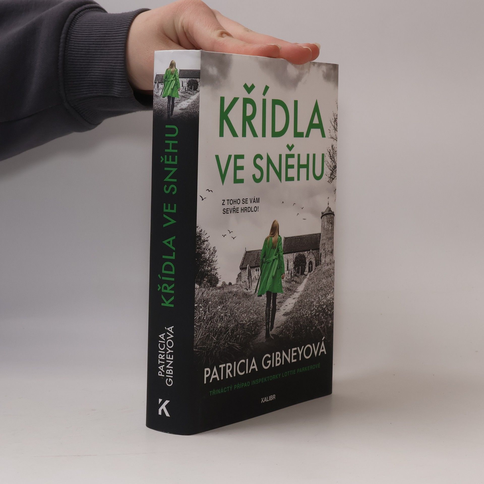 Patricia Gibney Křídla ve sněhu