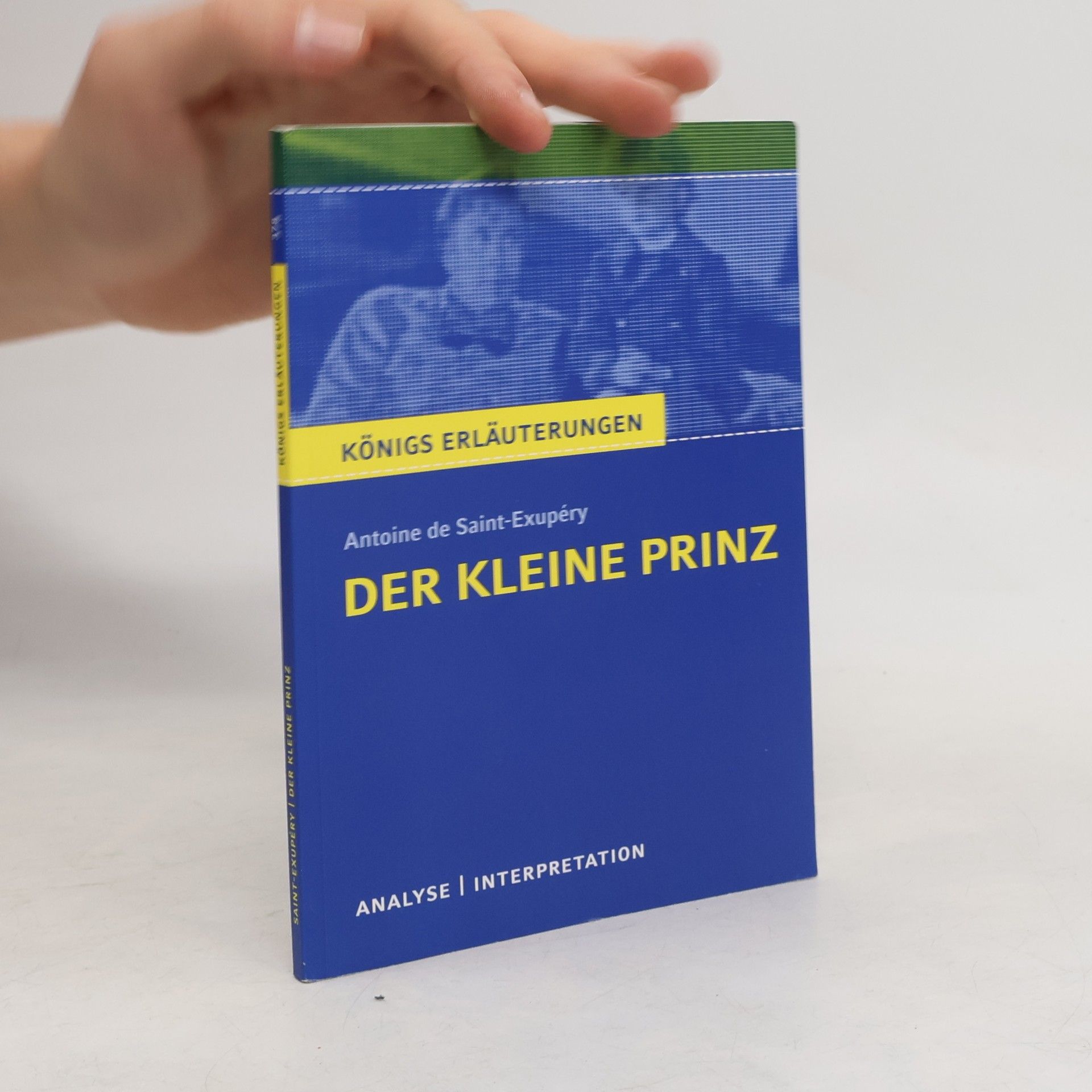 Walburga Freund-Spork Antoine de Saint-Exupery: Der kleine Prinz