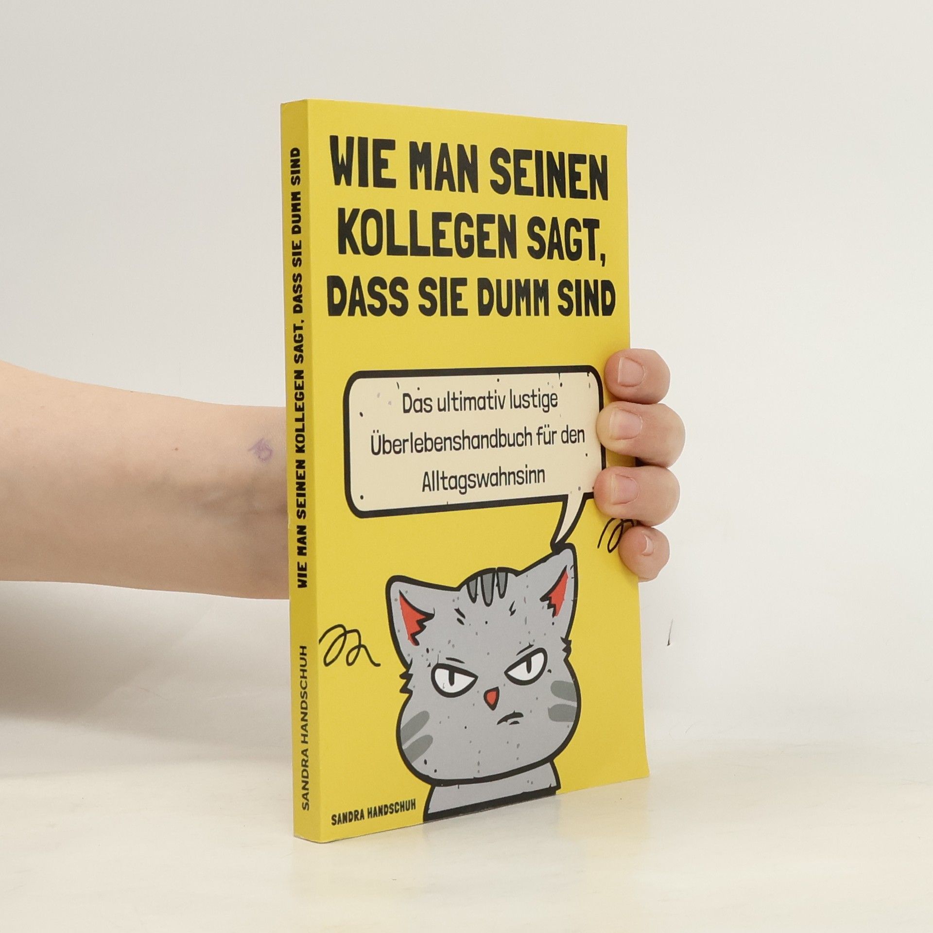 Sandra Handschuh Wie man seinen Kollegen sagt, dass sie dumm sind. Das ultimativ lustige Überlebenshandbuch für den Alltagswahnsinn