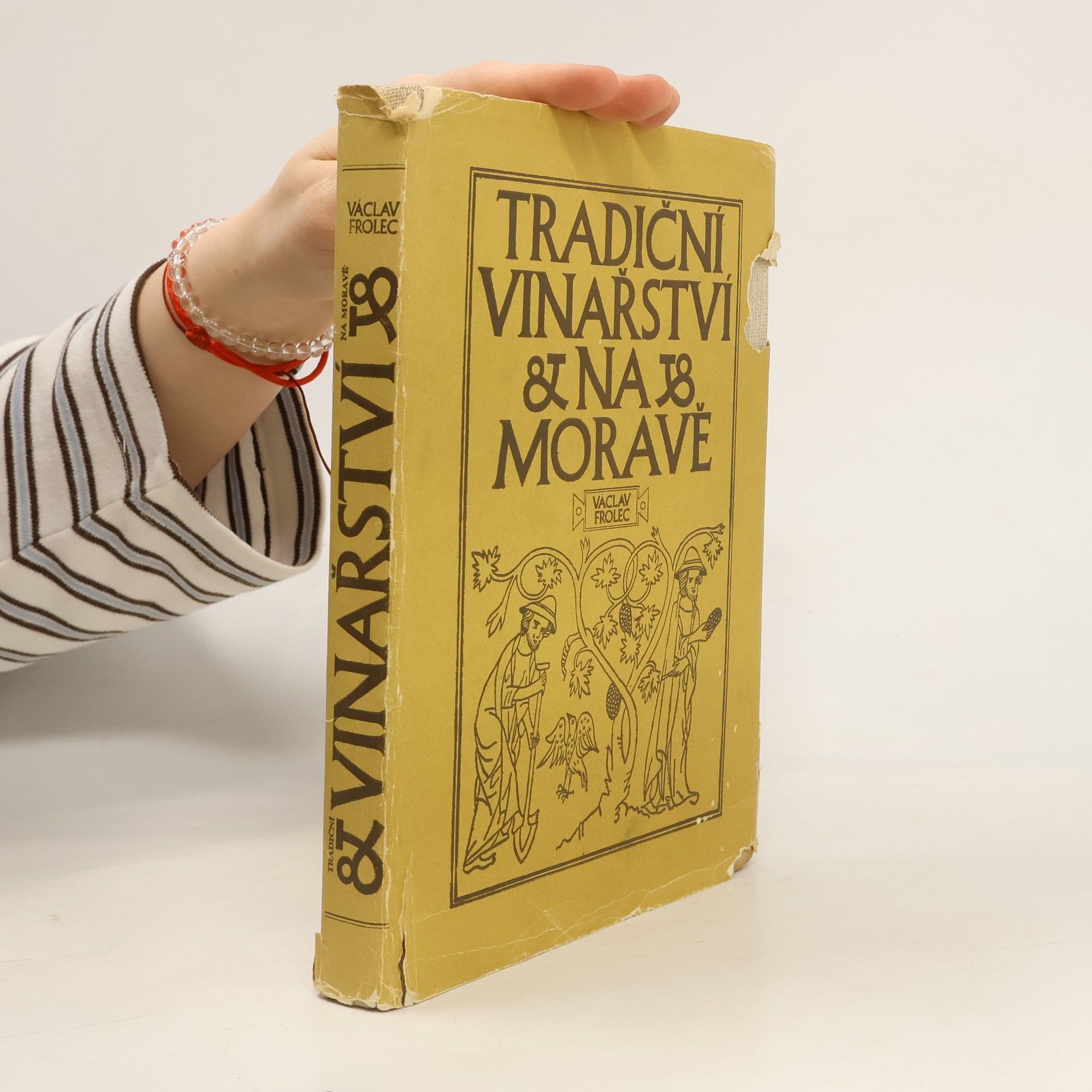 Václav Frolec Tradiční vinařství. Na Moravě