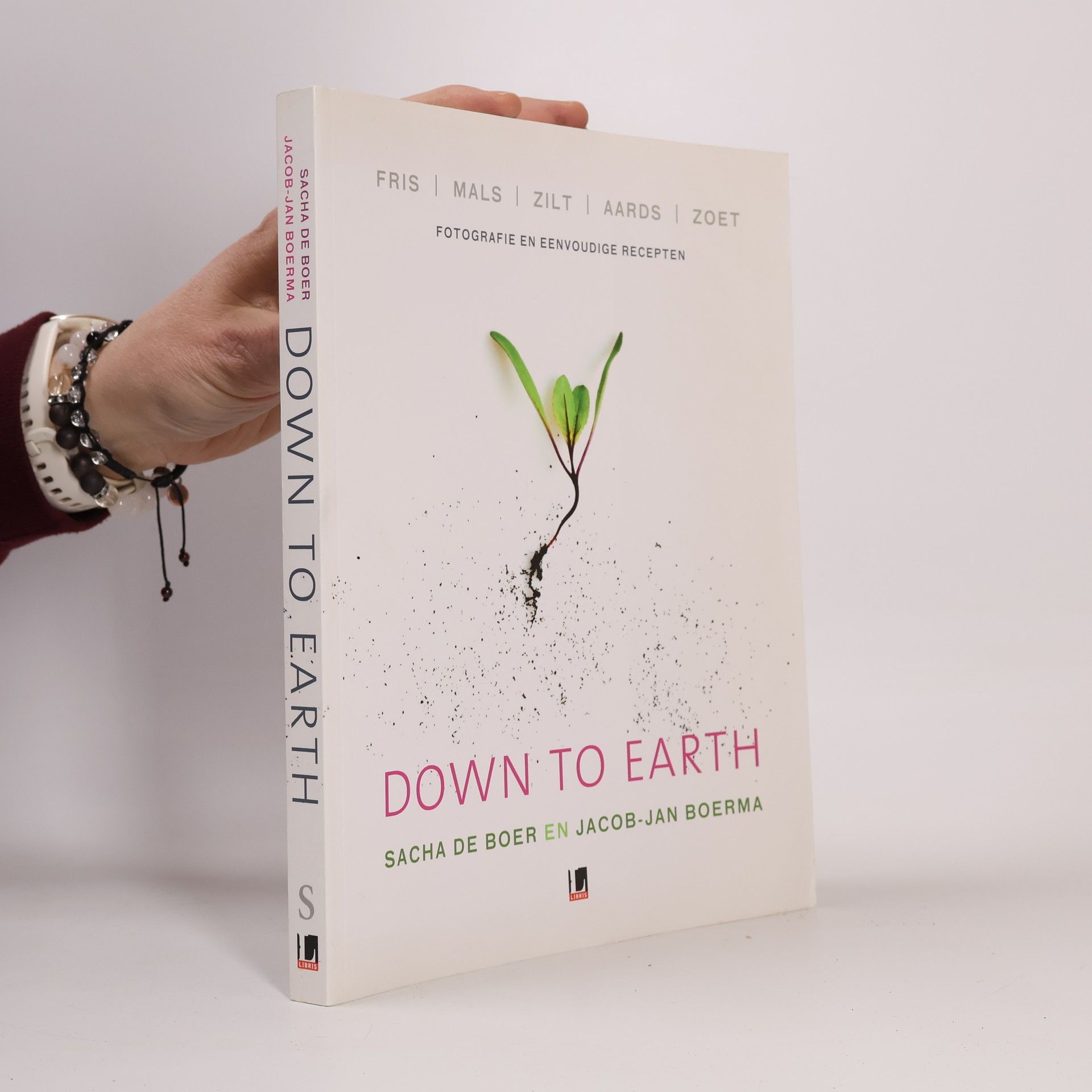 Sacha de Boer Down to Earth