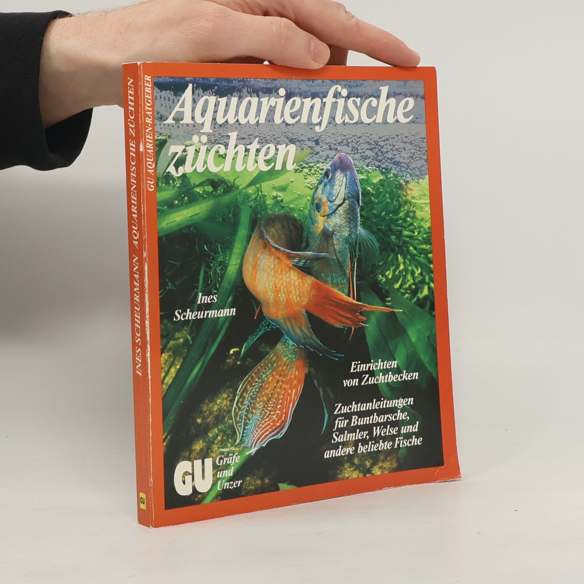Ines Scheurmann Aquarienfische züchten
