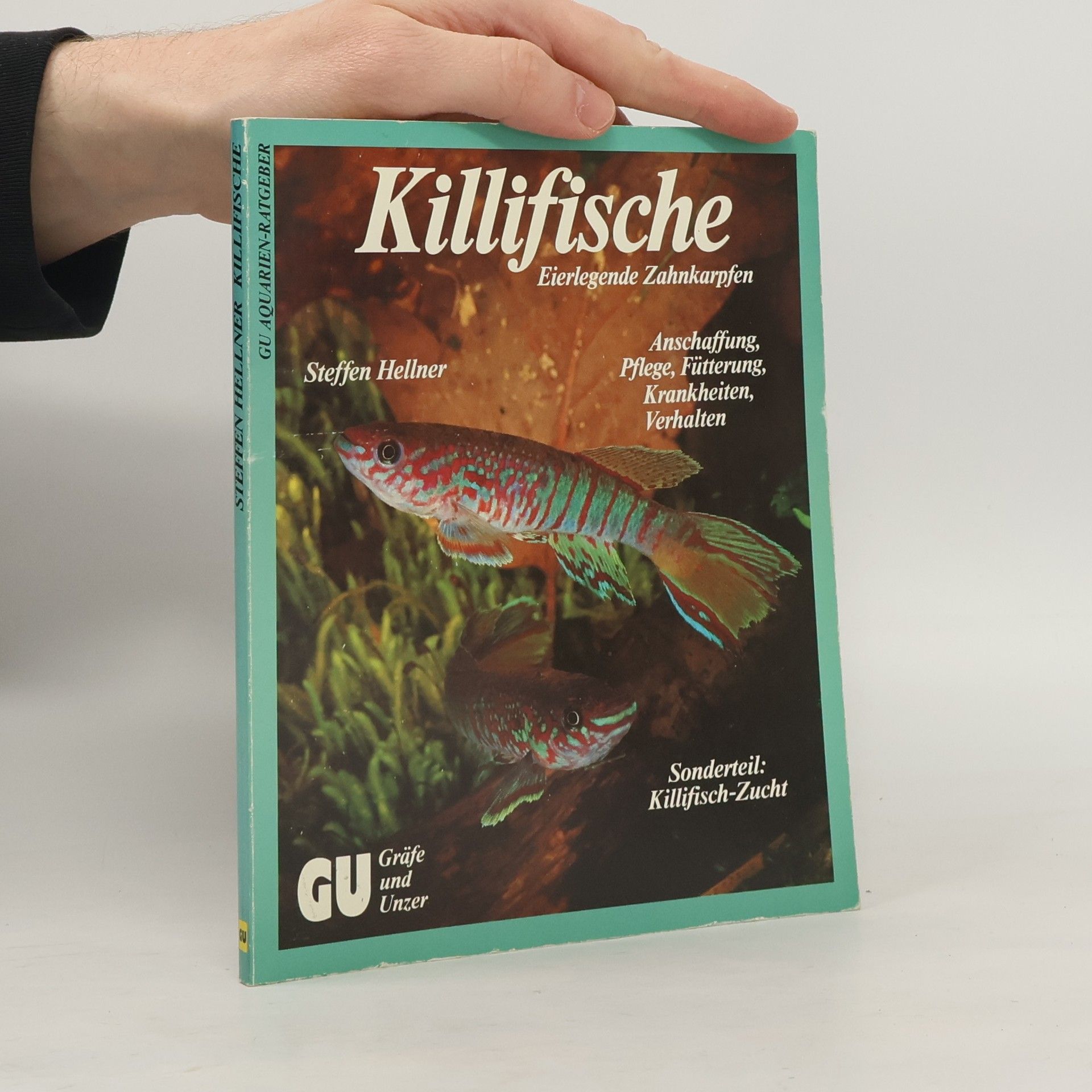 Steffen Hellner Killifische, eierlegende Zahnkarpfen