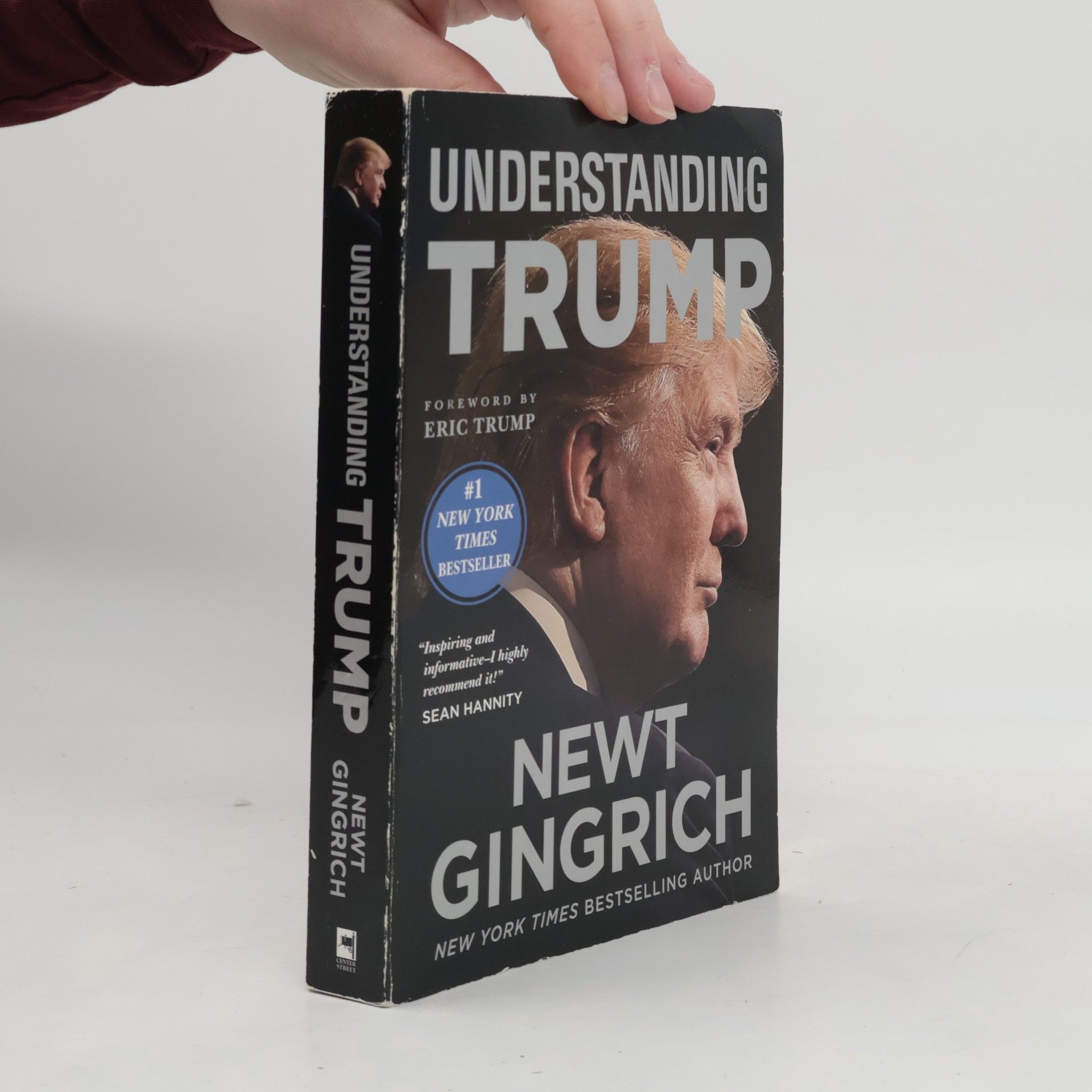 Newt Gingrich Understanding Trump