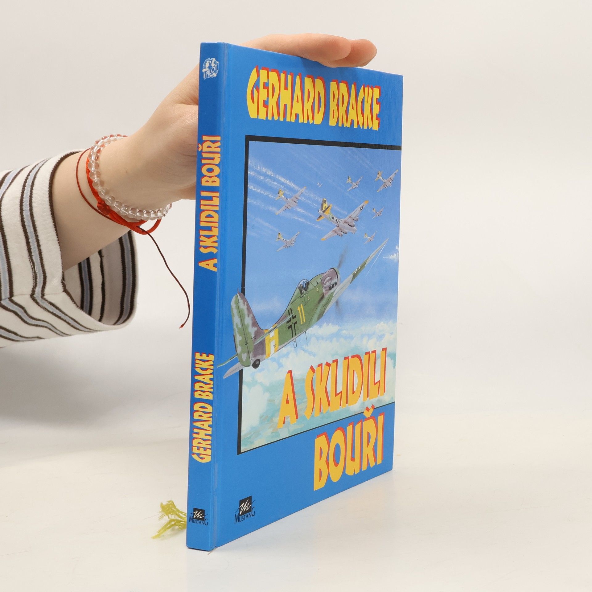 Gerhard Bracke A sklidili bouři