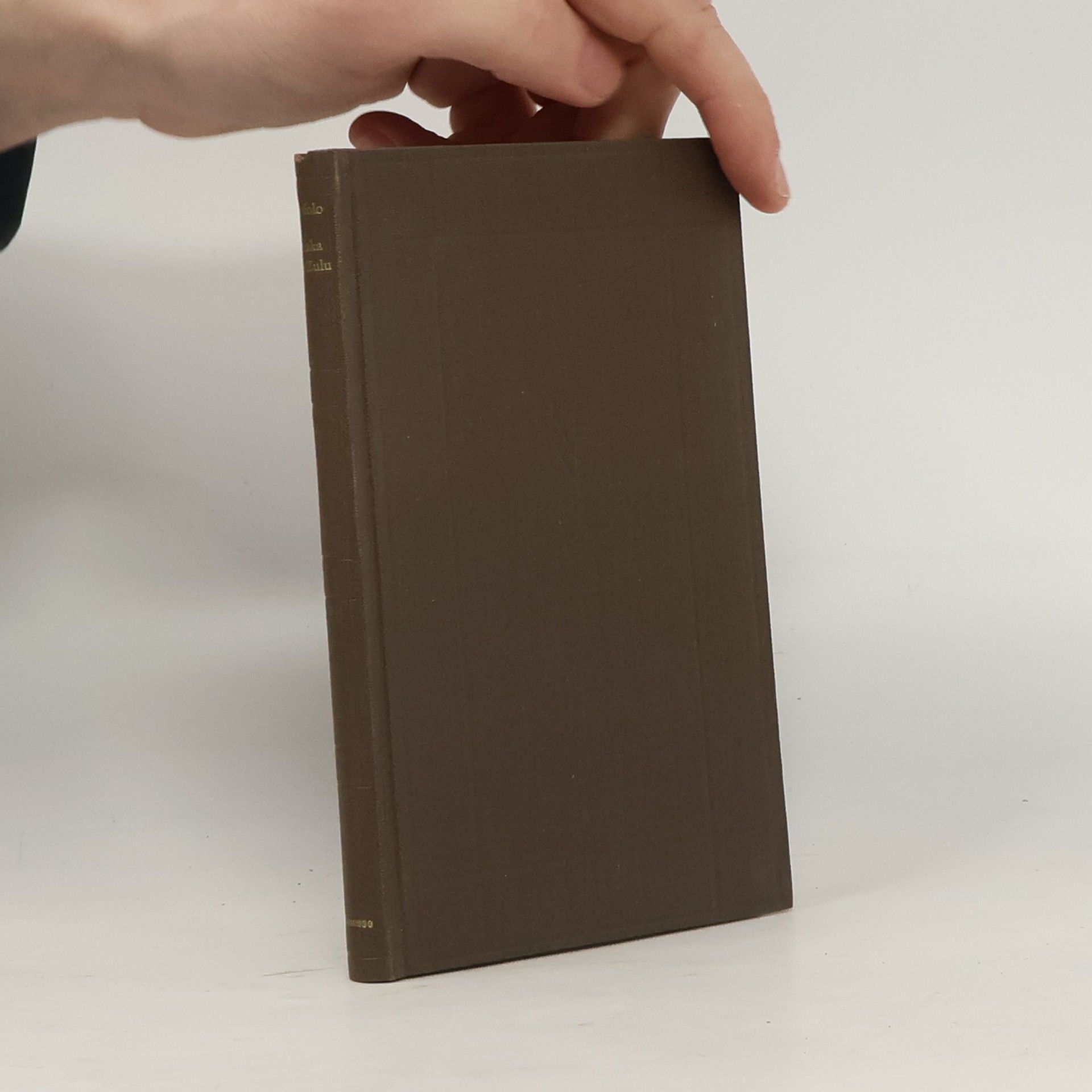 Thomas Mofolo Chaka der Zulu