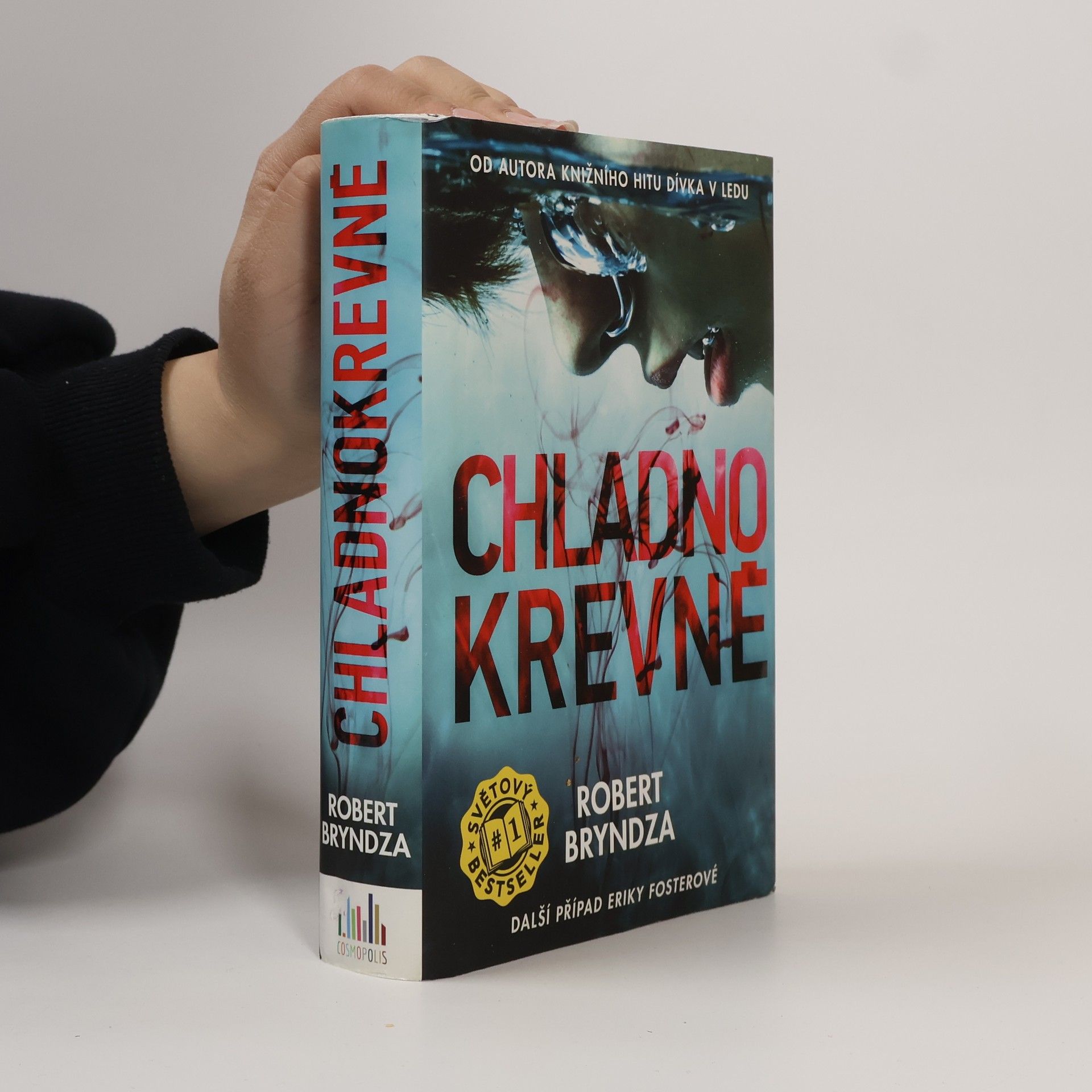 Robert Bryndza Chladnokrevně