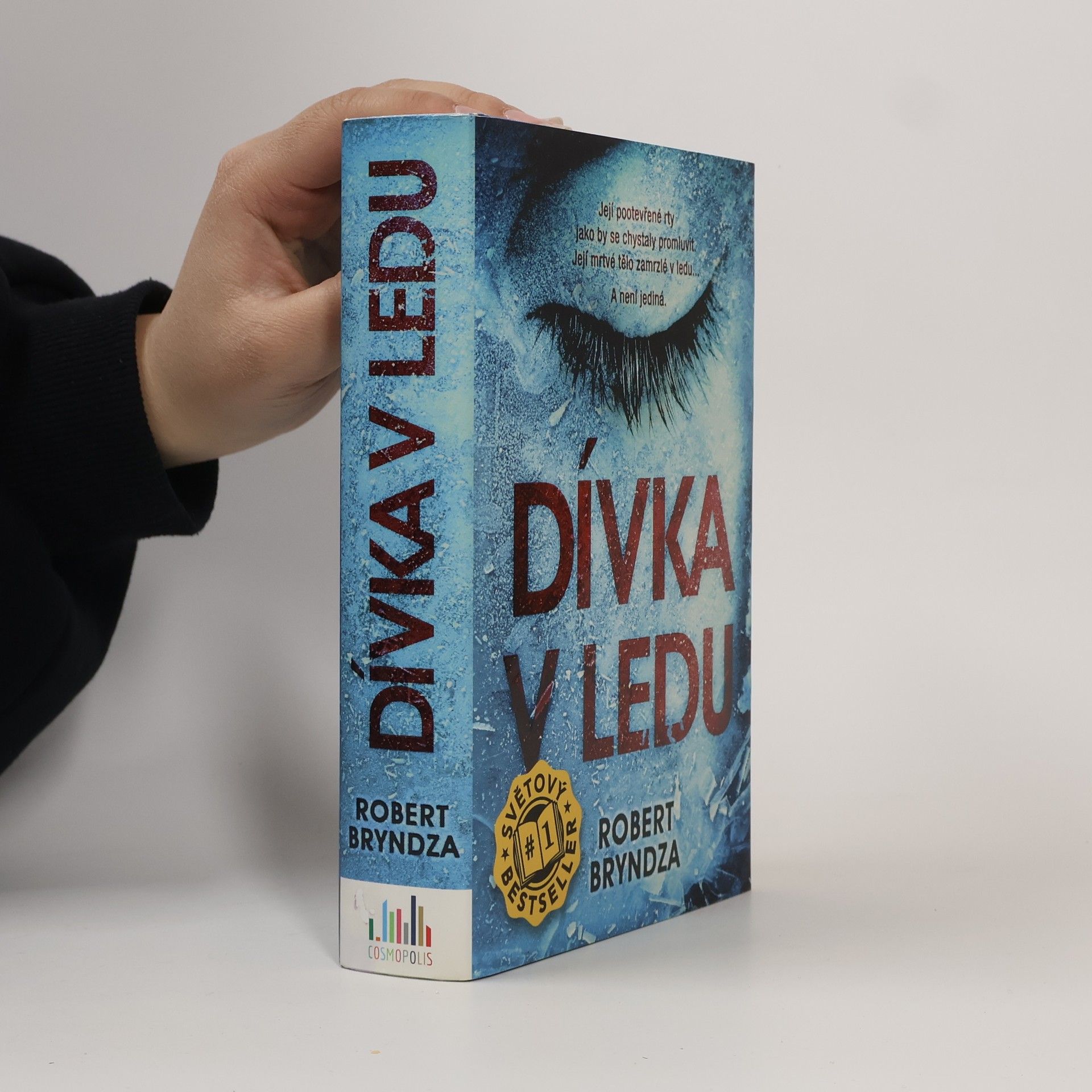 Robert Bryndza Dívka v ledu