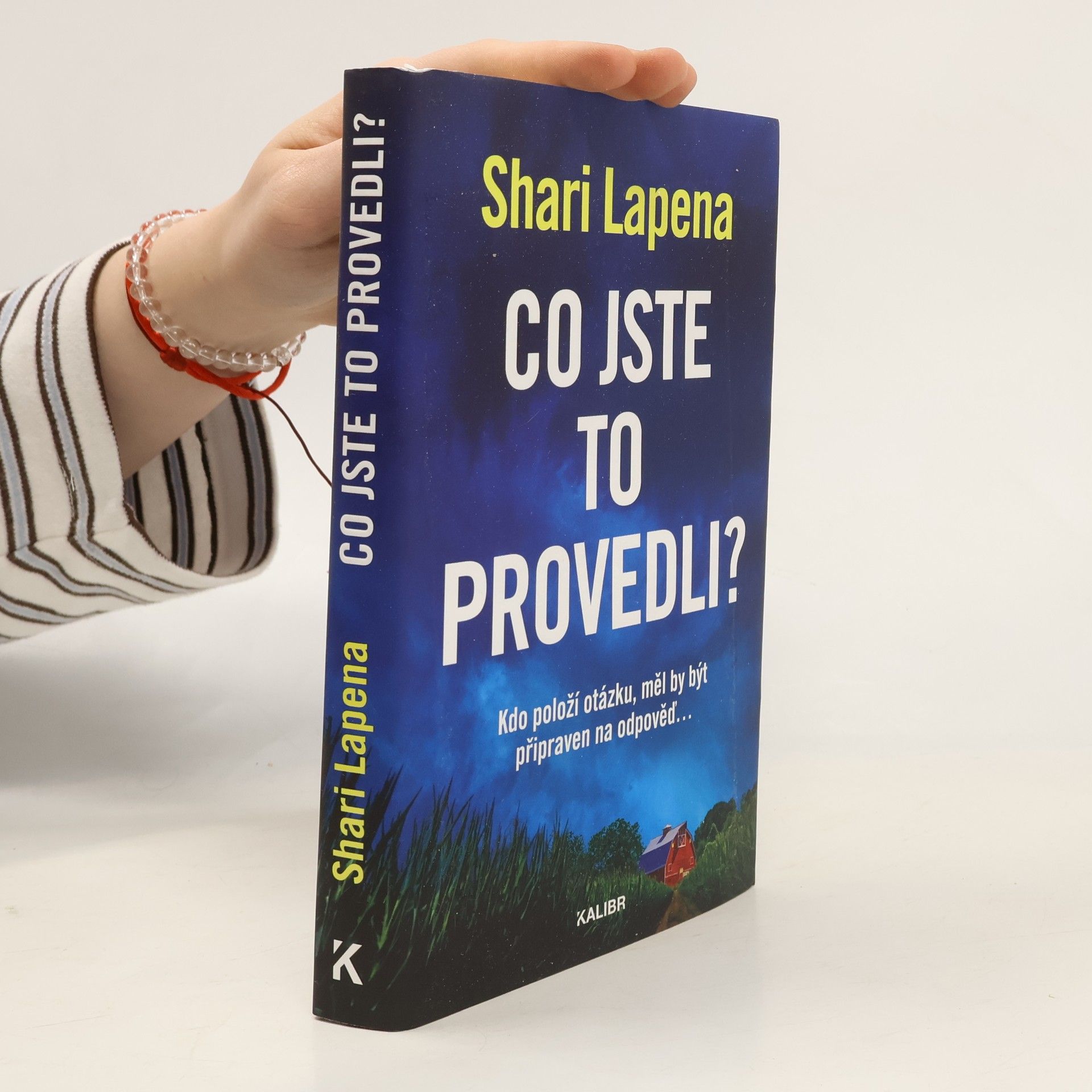 Shari Lapena Co jste to provedli?