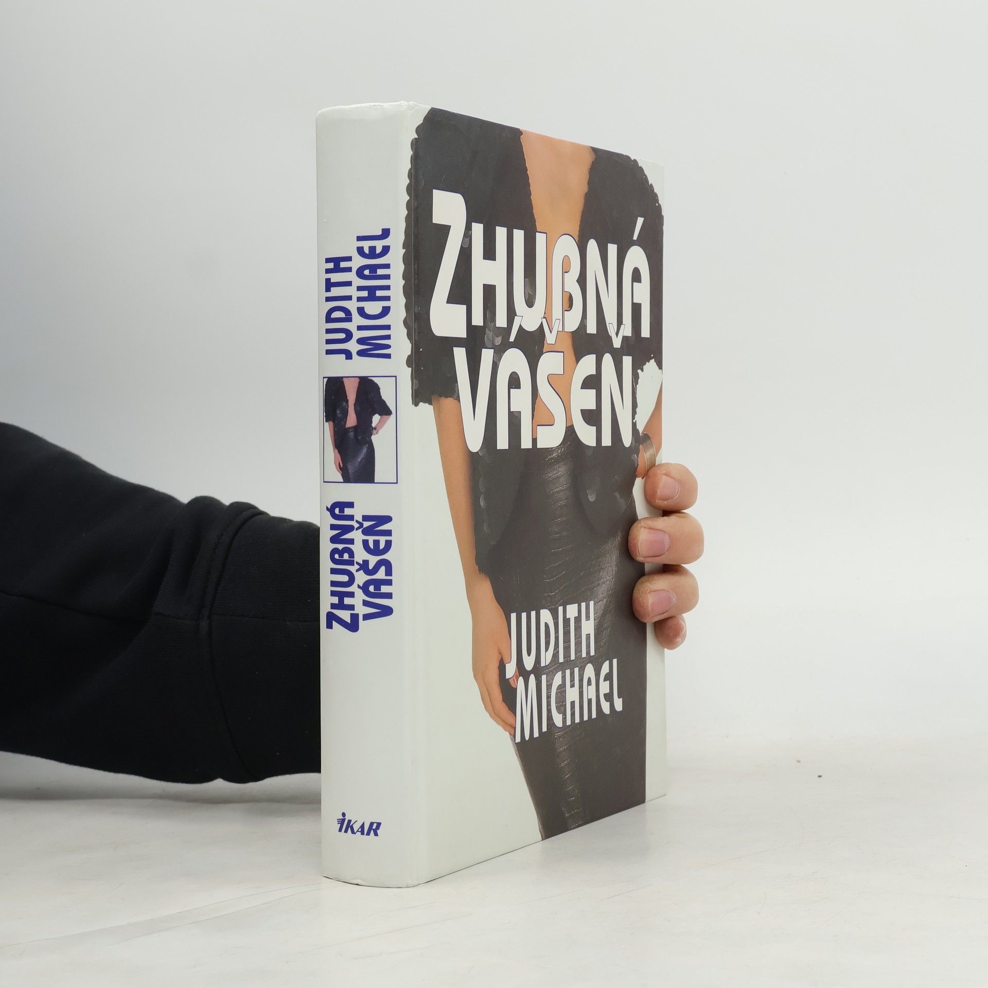 Judith Michael Zhubná vášeň