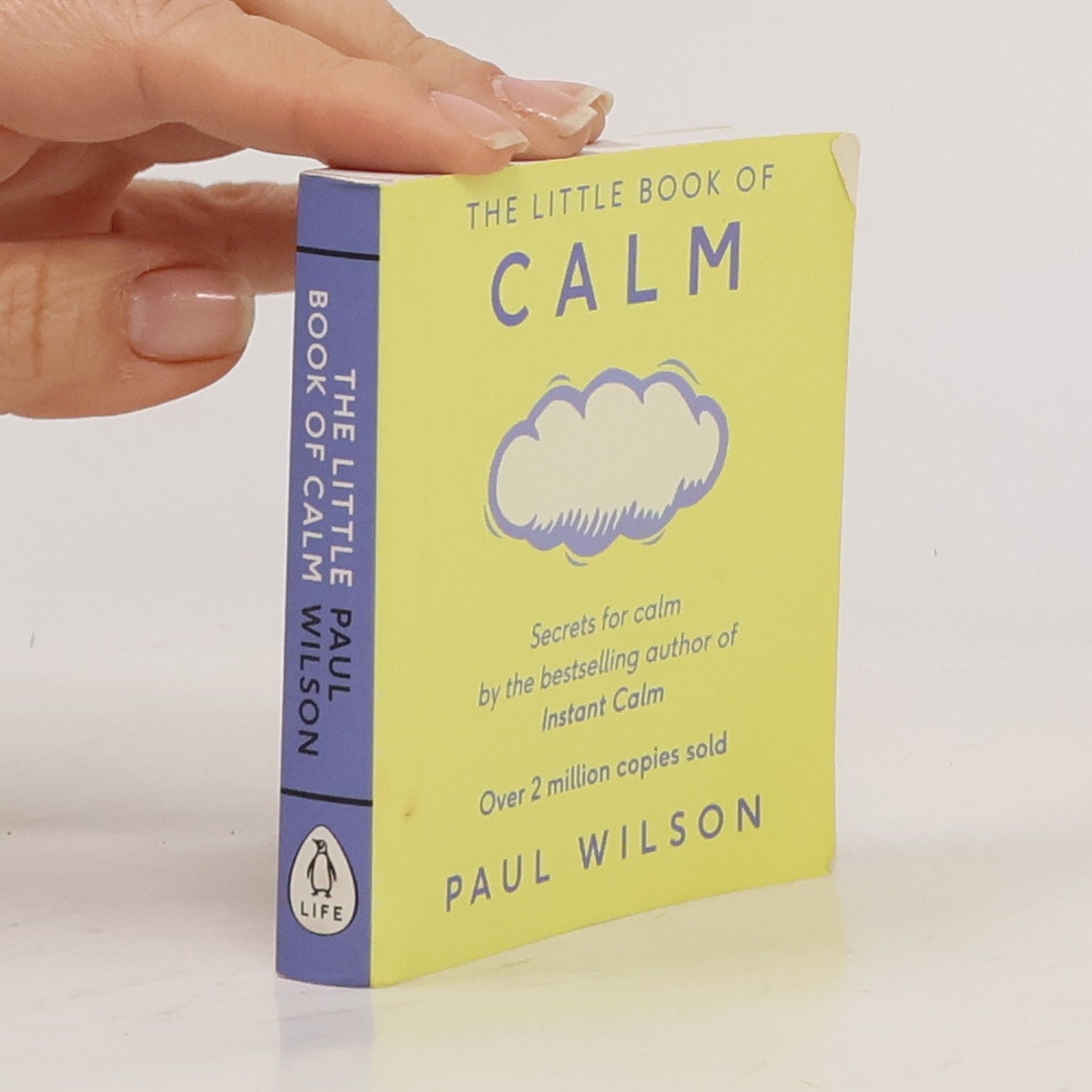 Paul Wilson The Little Book of Calm