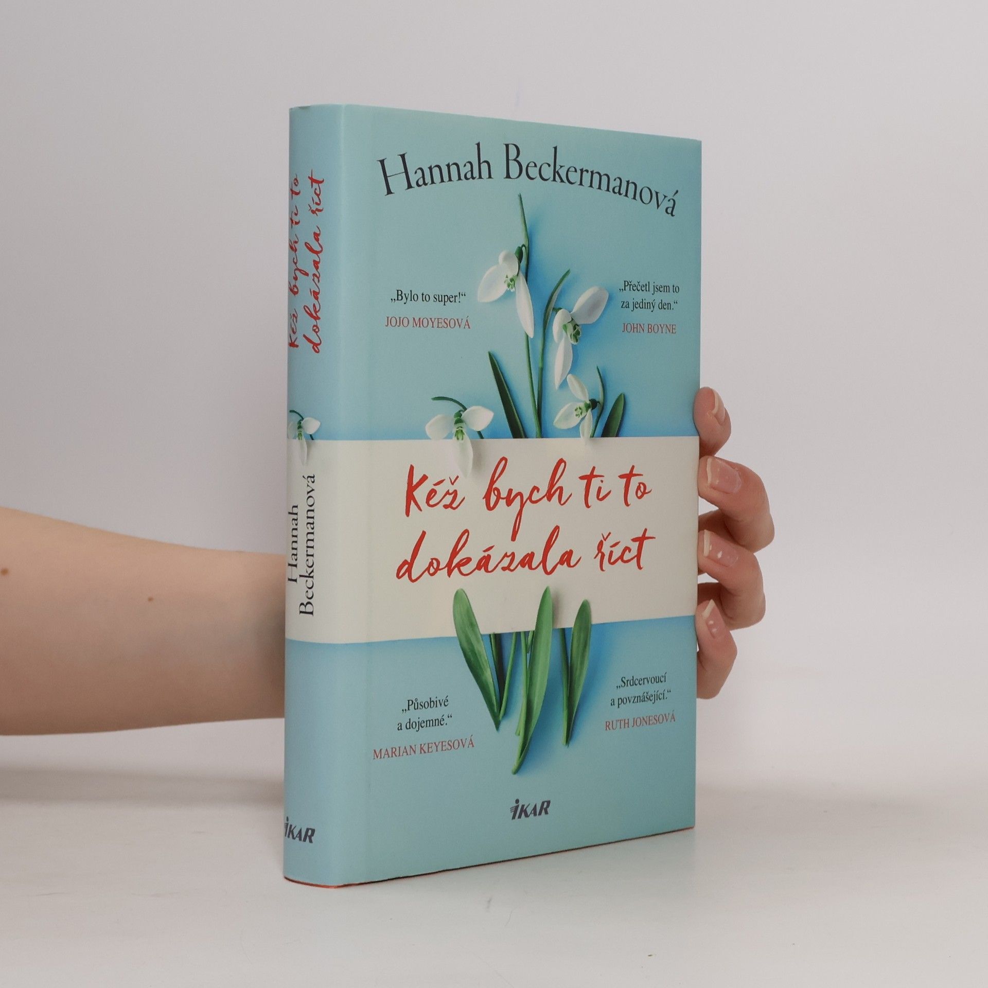 Hannah Beckerman Kéž bych ti to dokázala říct