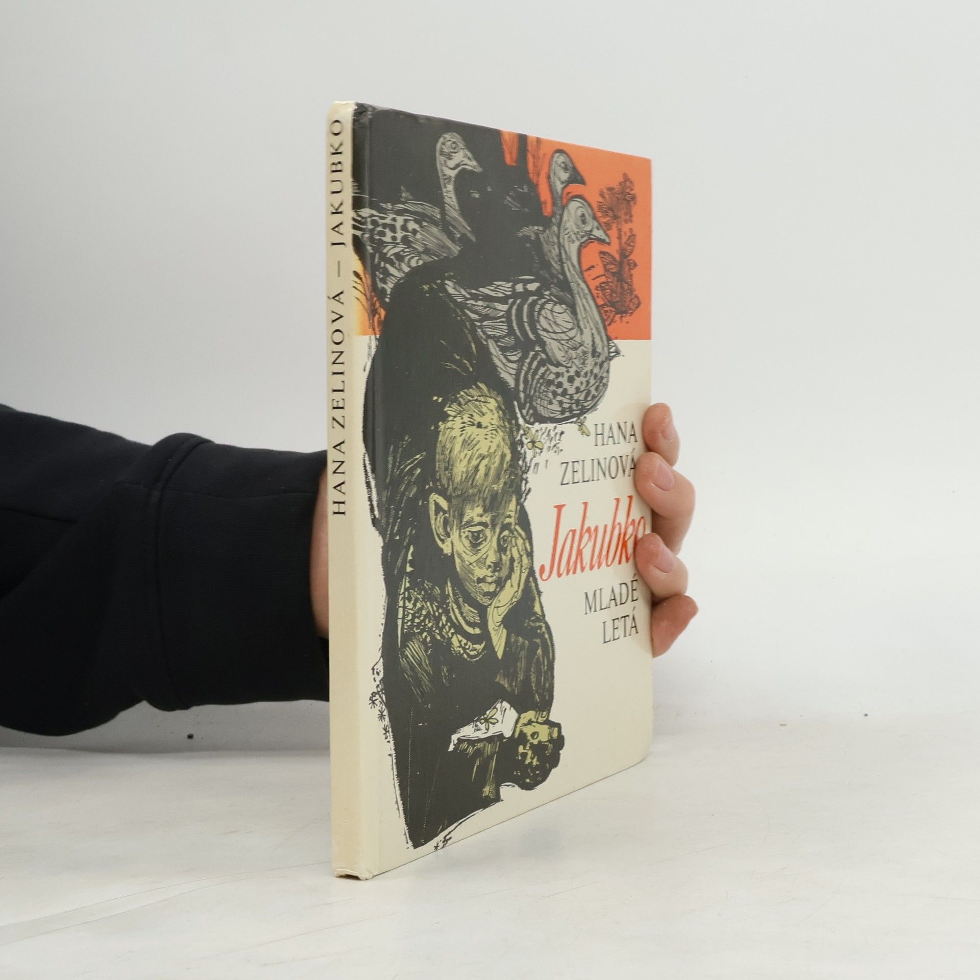 Hana Zelinová Jakubko