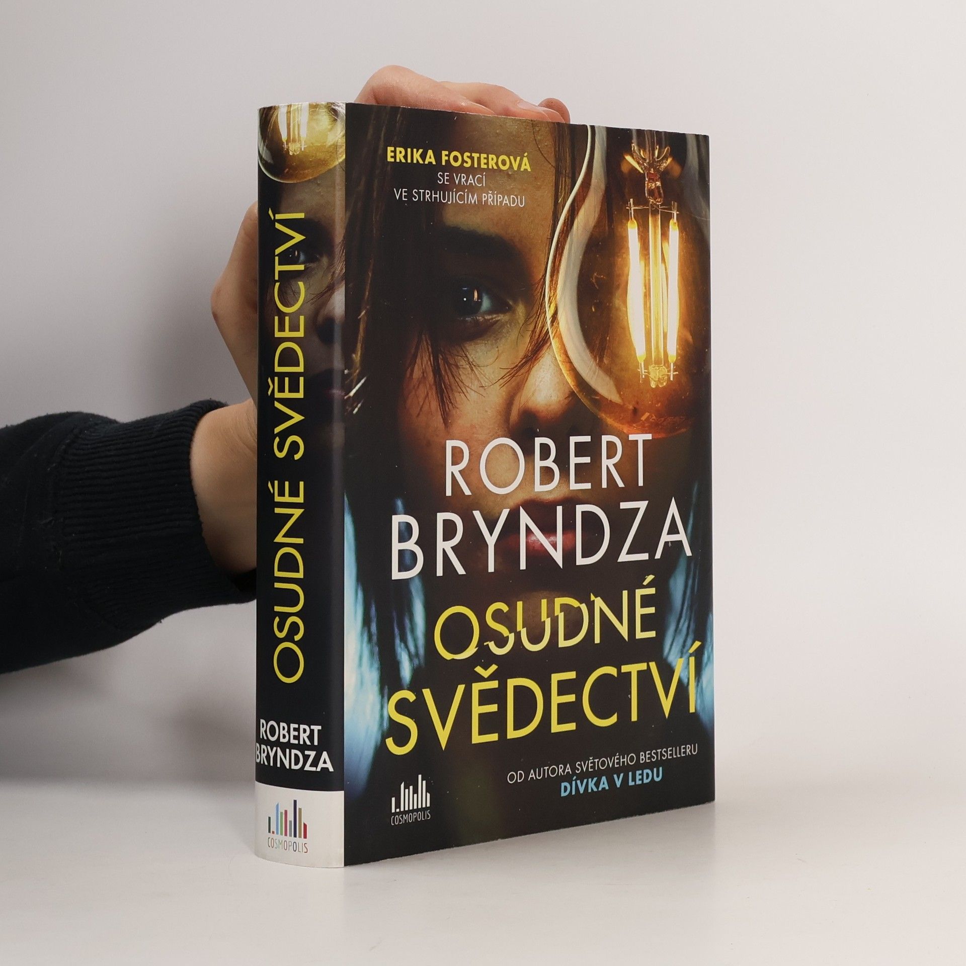 Robert Bryndza Osudné svědectví