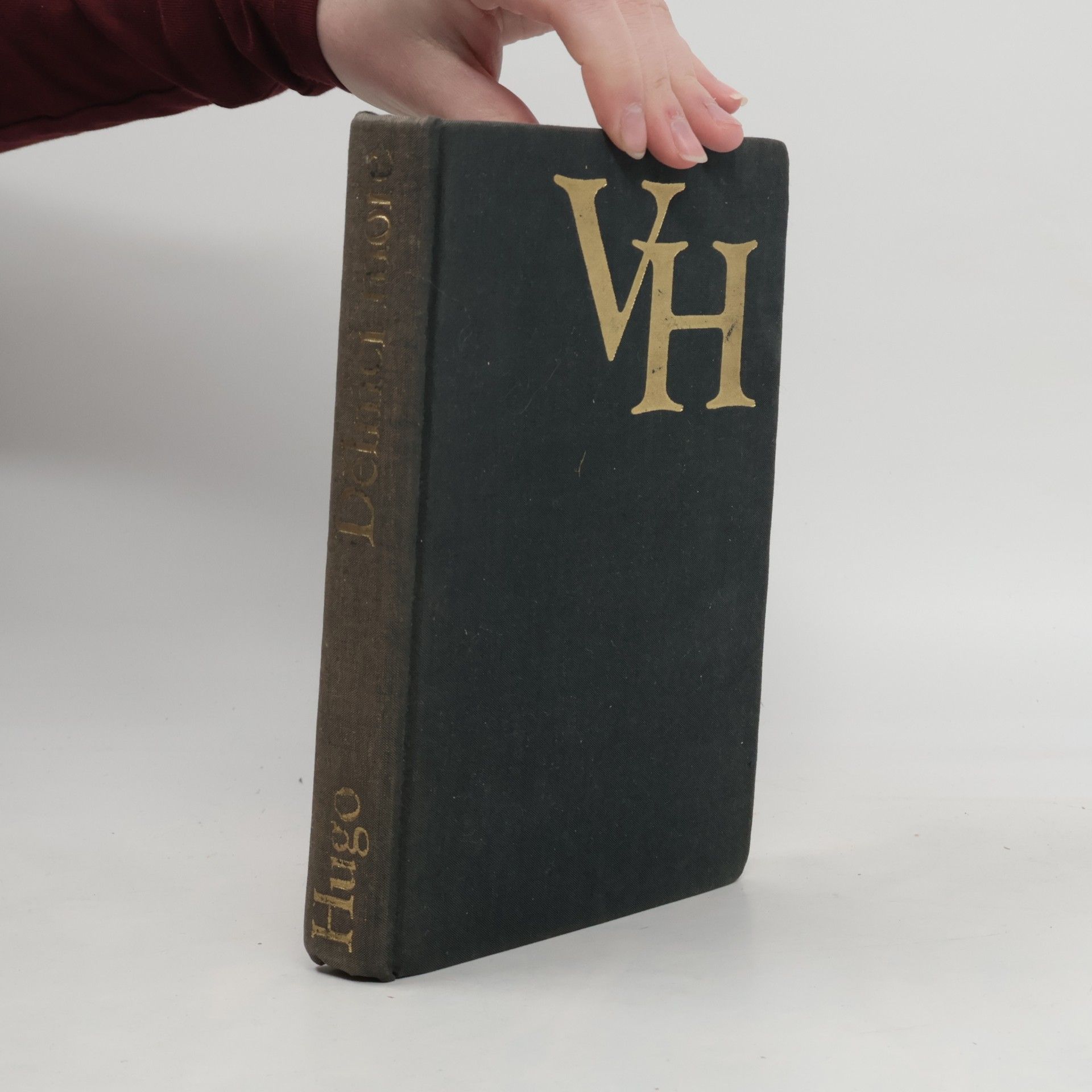 Victor Hugo Dělníci moře