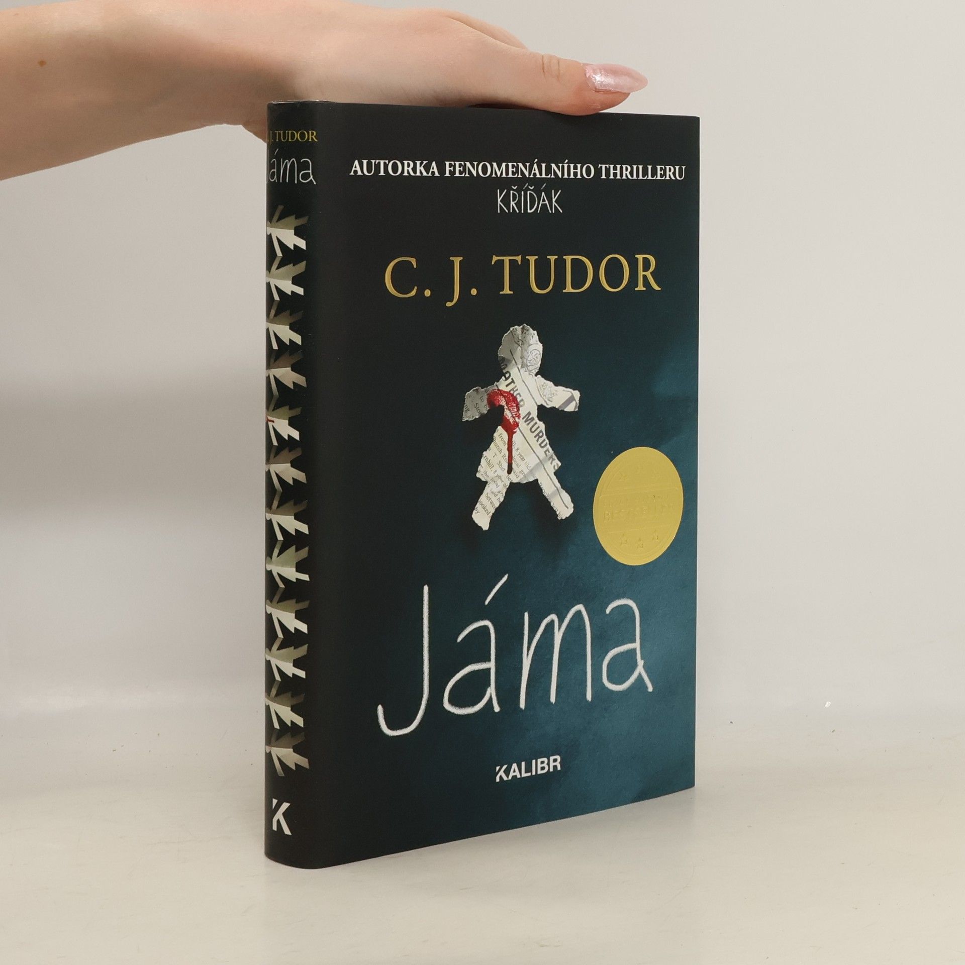 C.J. Tudor Jáma
