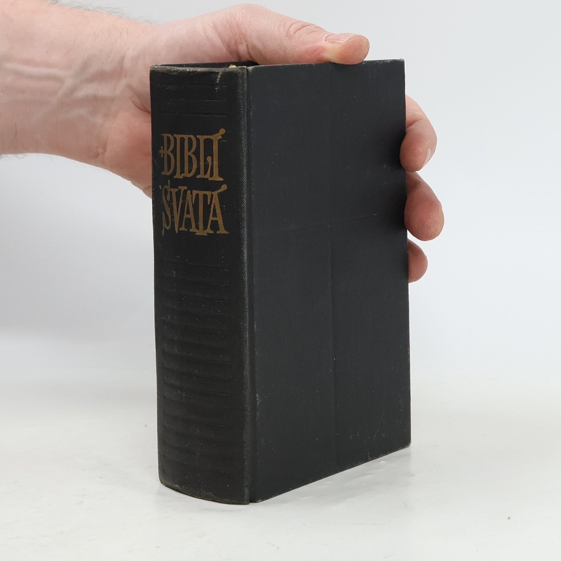 Autorenkollektiv Biblí svatá aneb všecka svatá písma starého i nového zákona