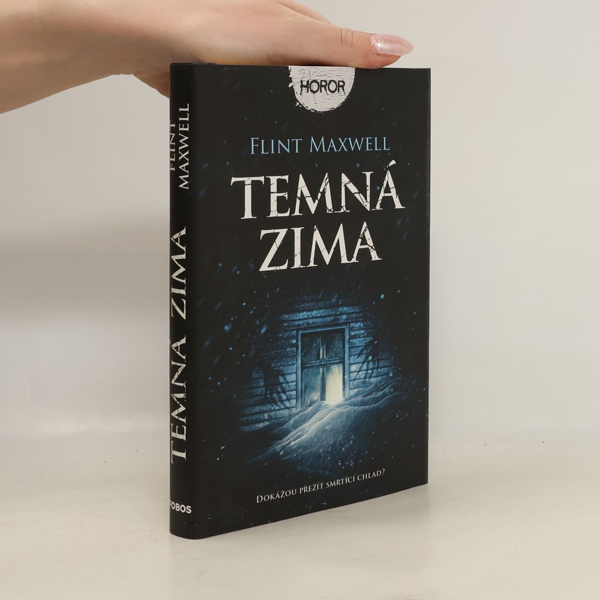 Flint Maxwell Temná zima
