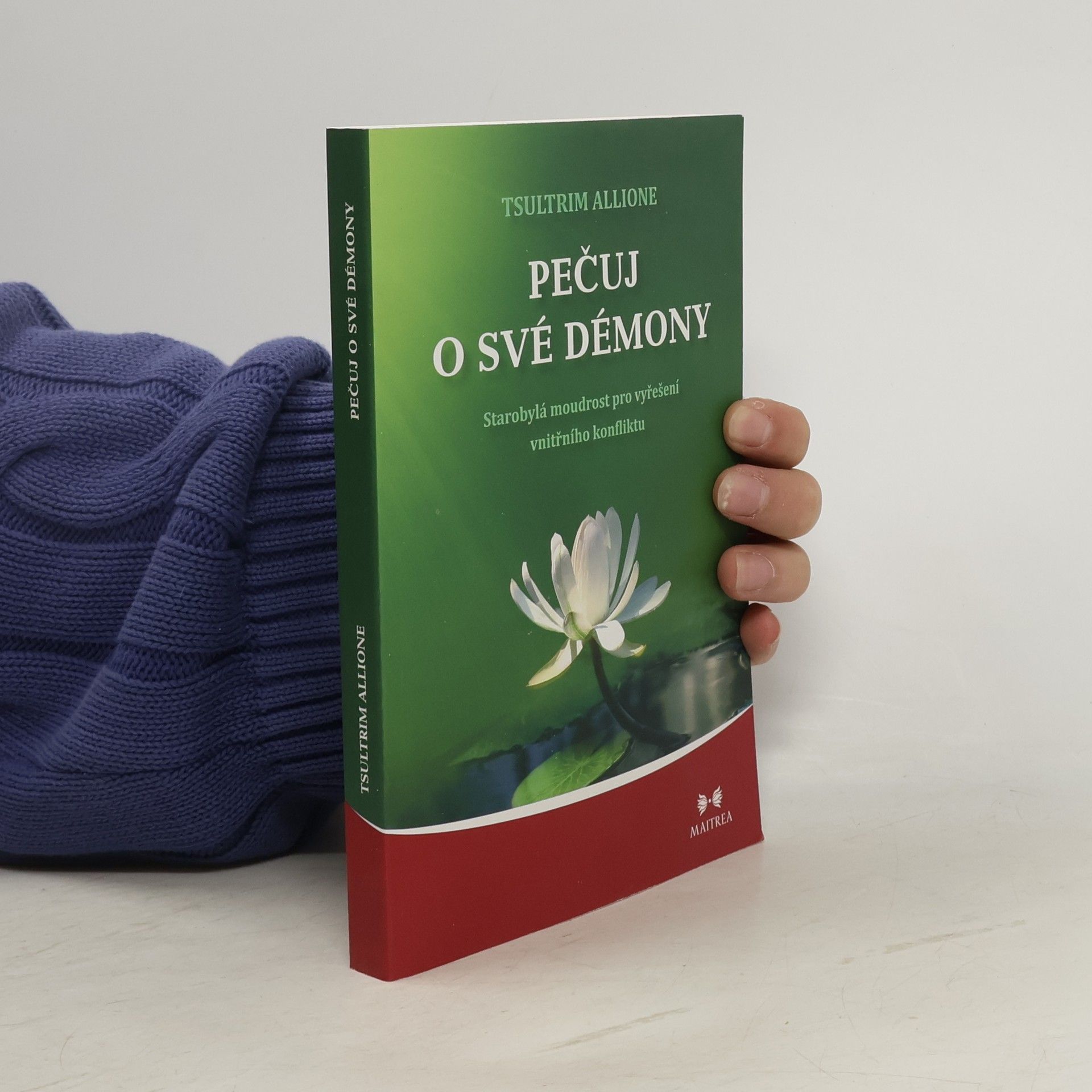 Tsultrim Allione Pečuj o své démony. Starobylá moudrost pro vyřešení vnitřního konfliktu