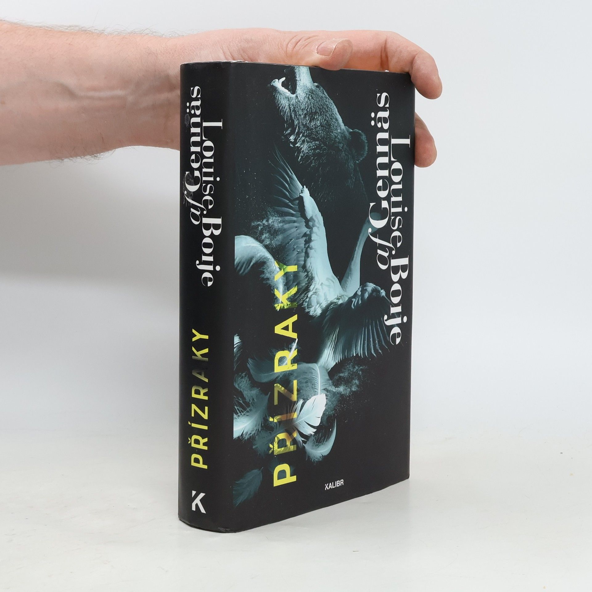 Louise Boije af Gennäs Přízraky