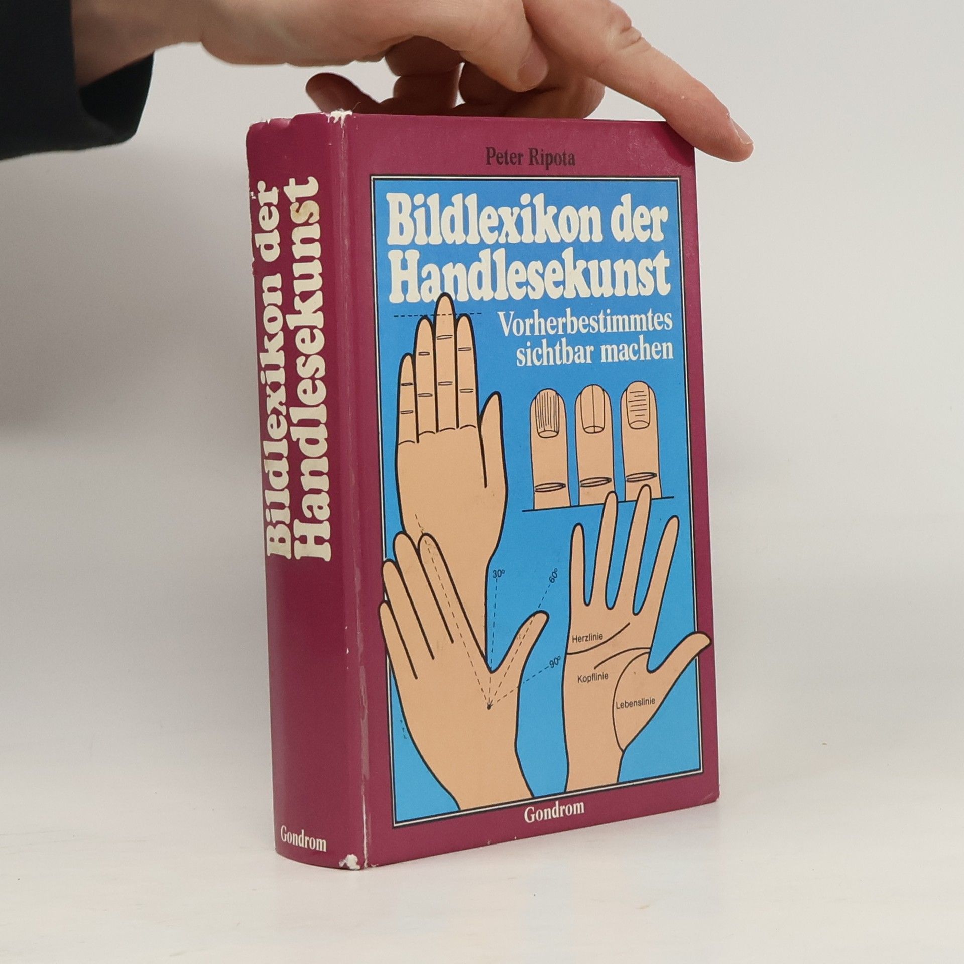 Peter Ripota Bildlexikon der Handlesekunst
