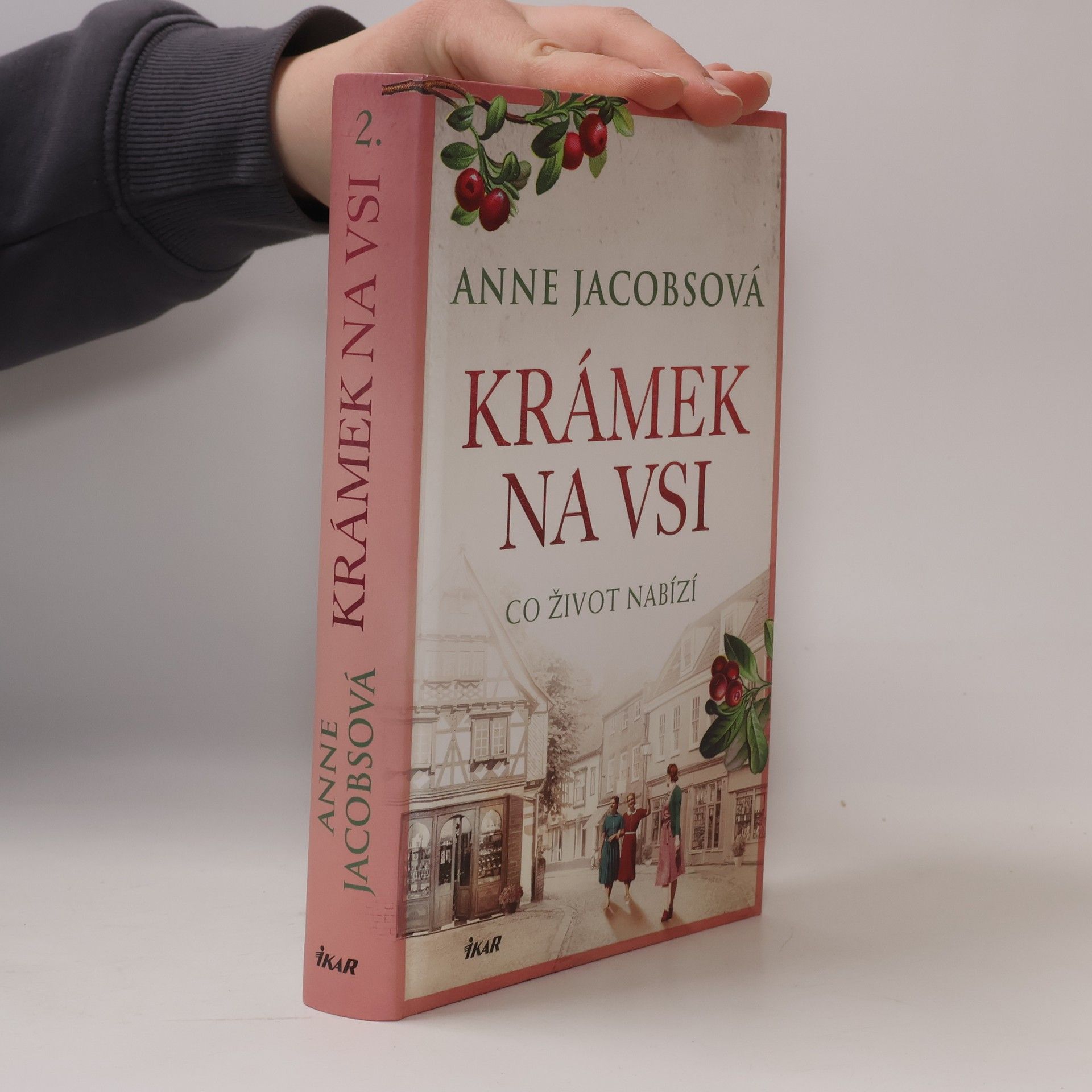 Anne Jacobs Krámek na vsi