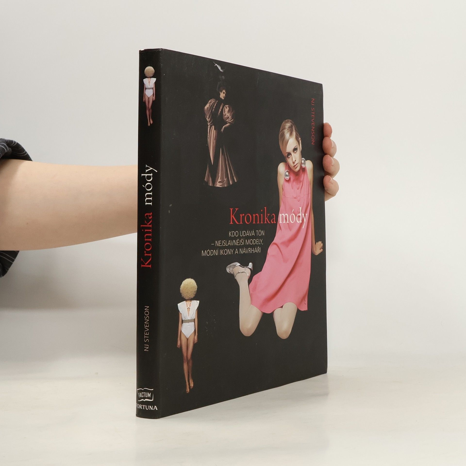 N. J. Stevenson Kronika módy. Kdo udává tón - nejslavnější módní ikony a návrháři