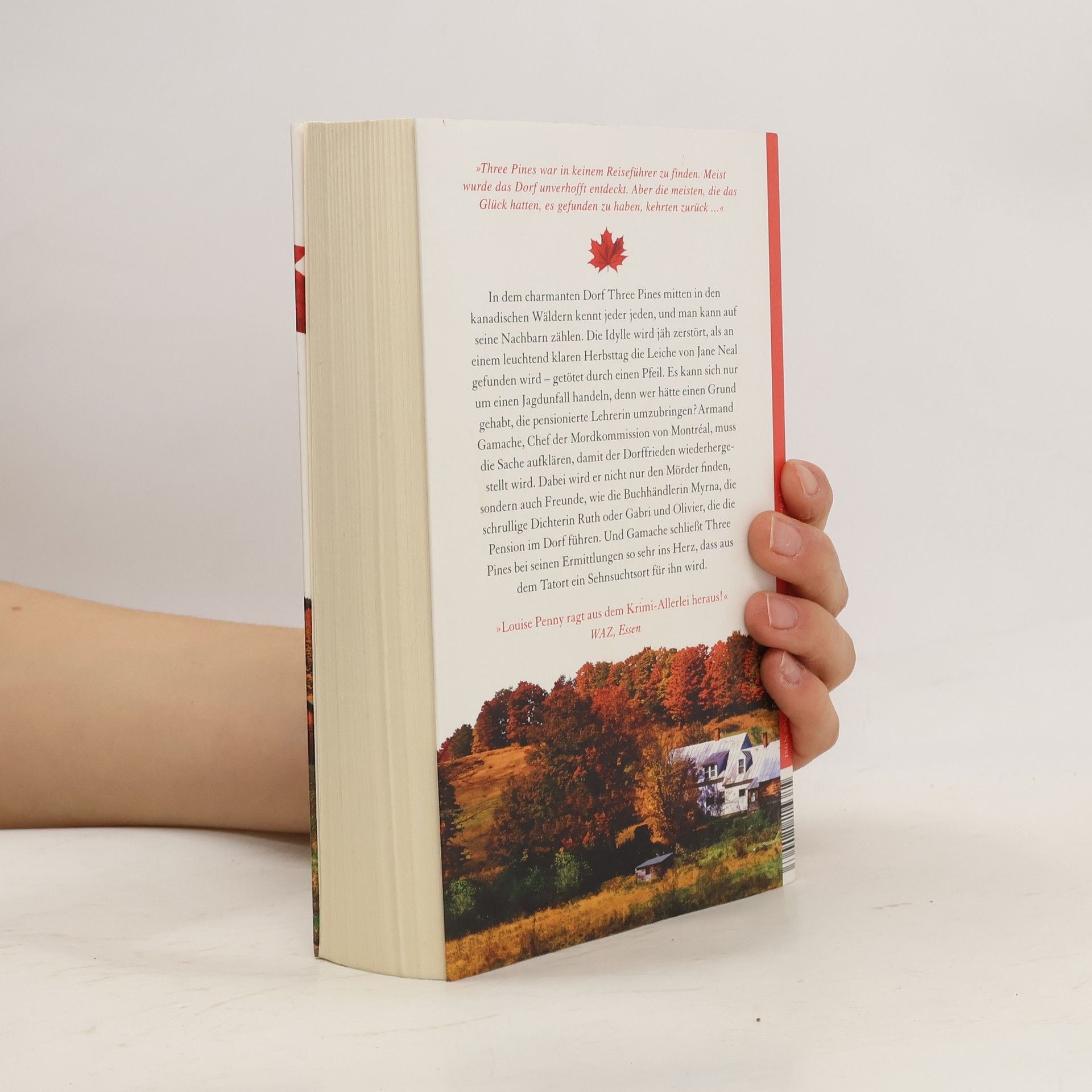 Louise Penny Das Dorf in den roten Wäldern