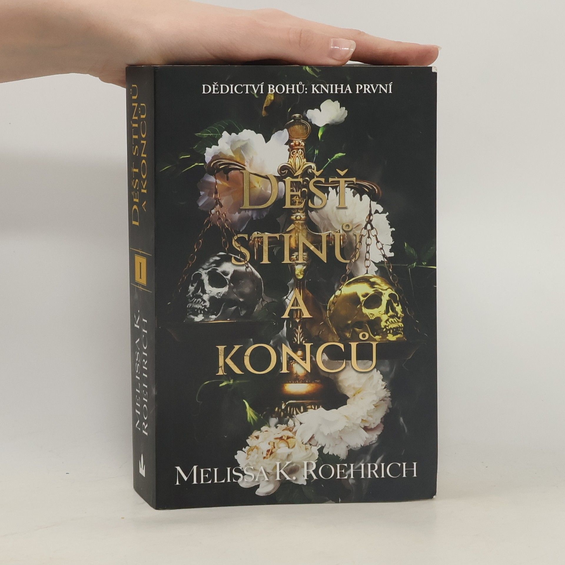 Déšť stínů a konců