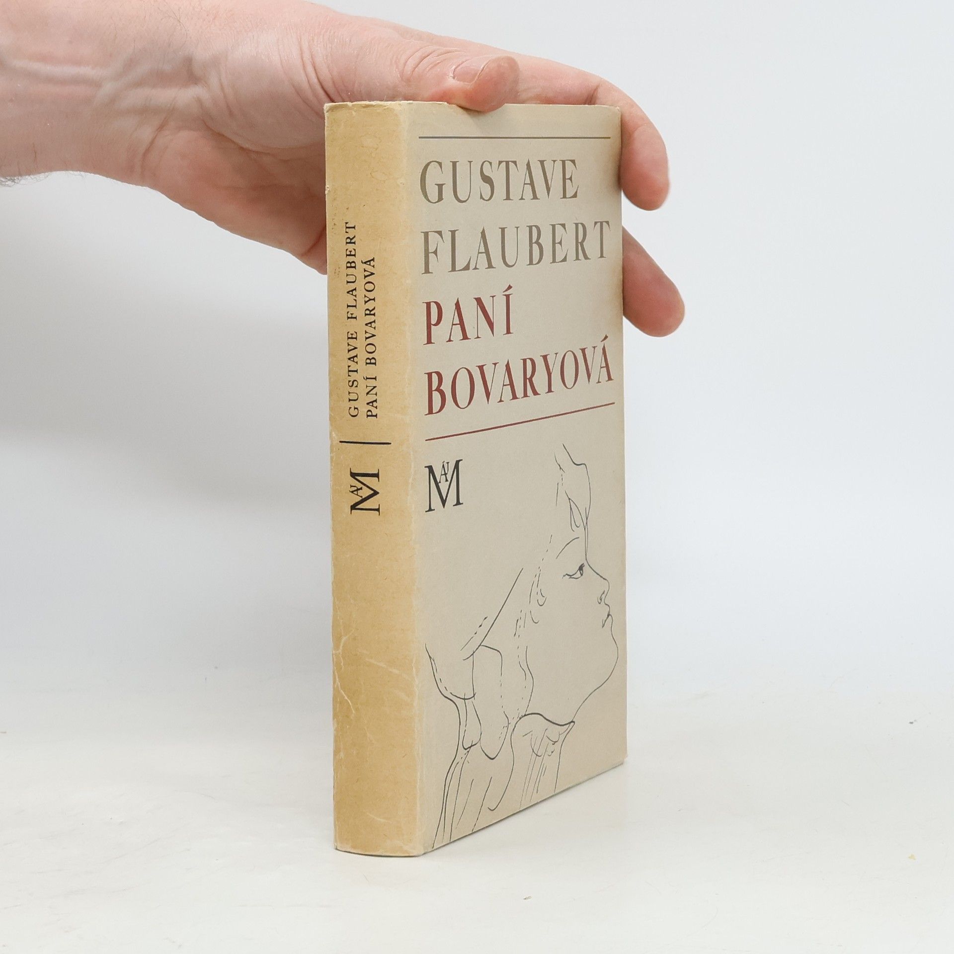 Gustave Flaubert Paní Bovaryová