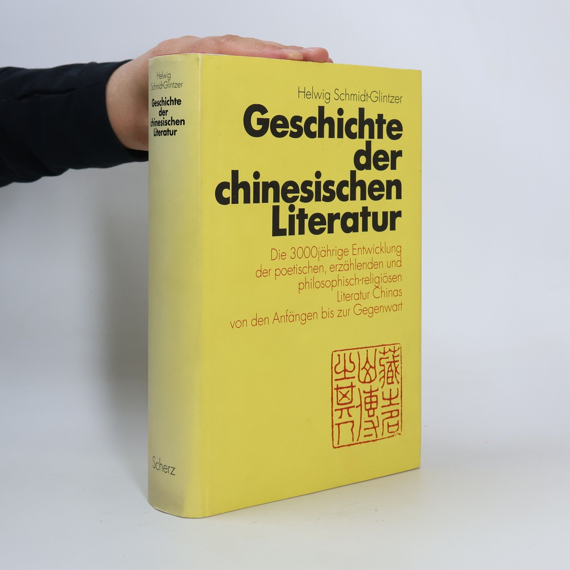 Helwig Schmidt-Glintzer Geschichte der chinesischen Literatur