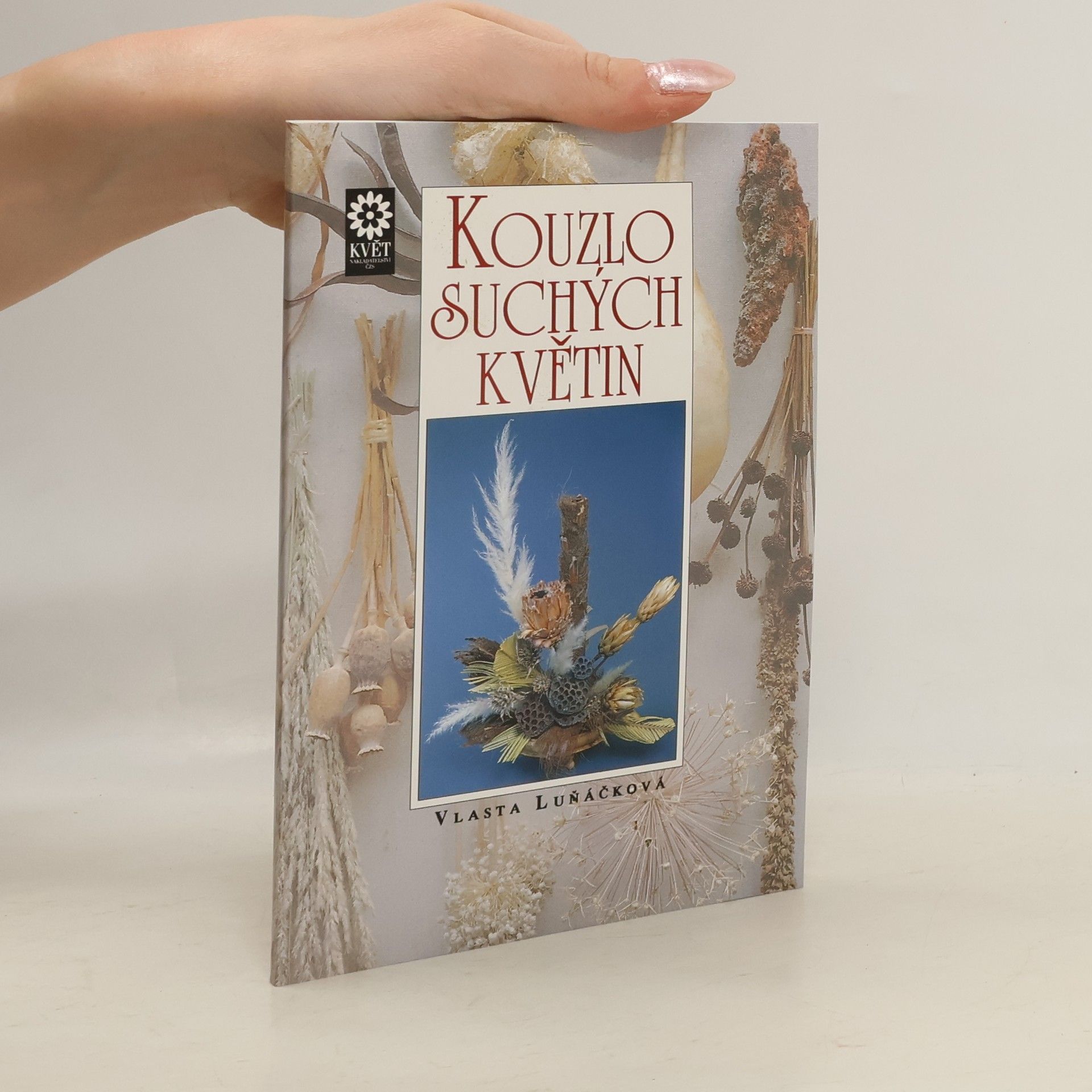 Vlasta Luňáčková Kouzlo suchých květin