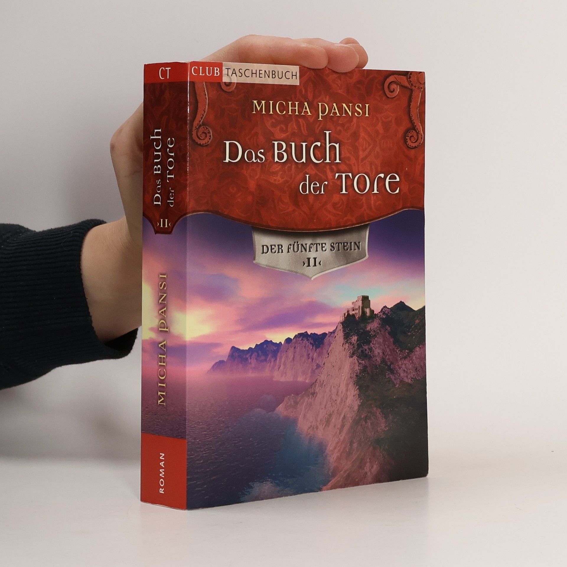 Micha Pansi Das Buch der Tore II