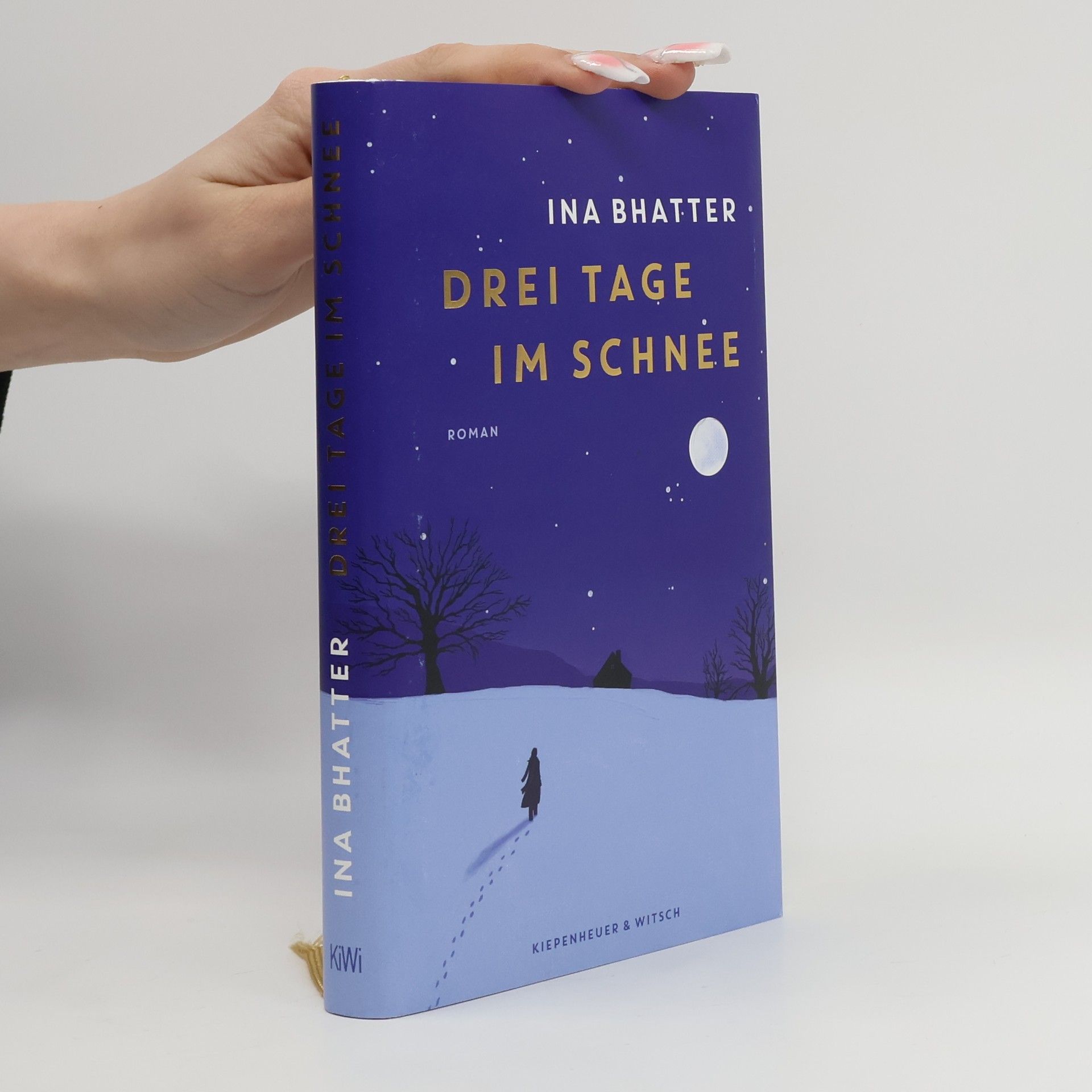 Ina Bhatter Drei Tage im Schnee