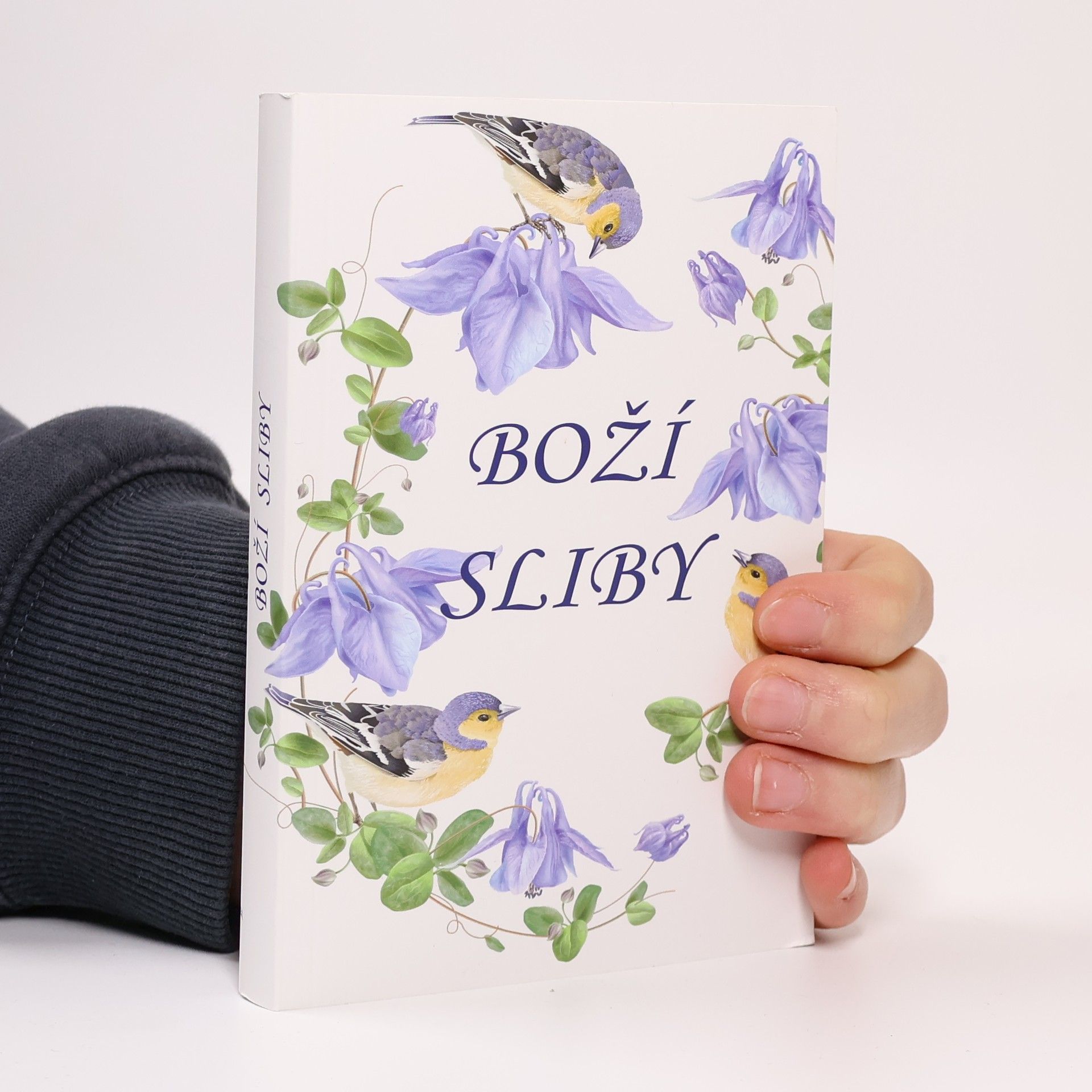 Kolektív autorov Boží sliby