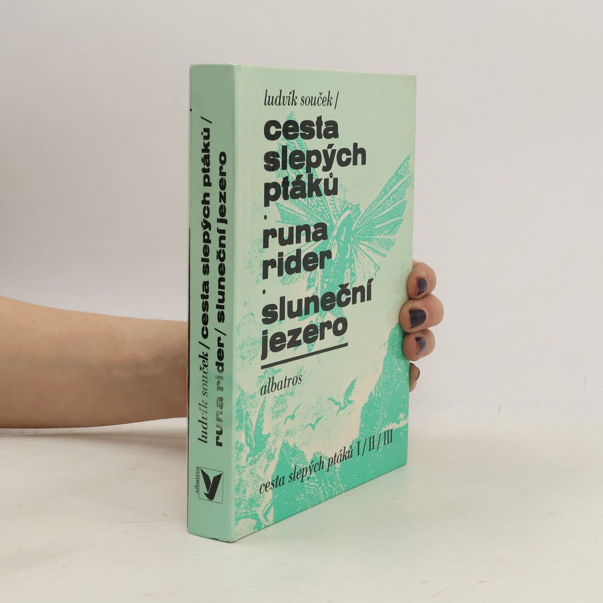 Ludvík Souček Cesta slepých ptáků, Runa rider, Sluneční jezero