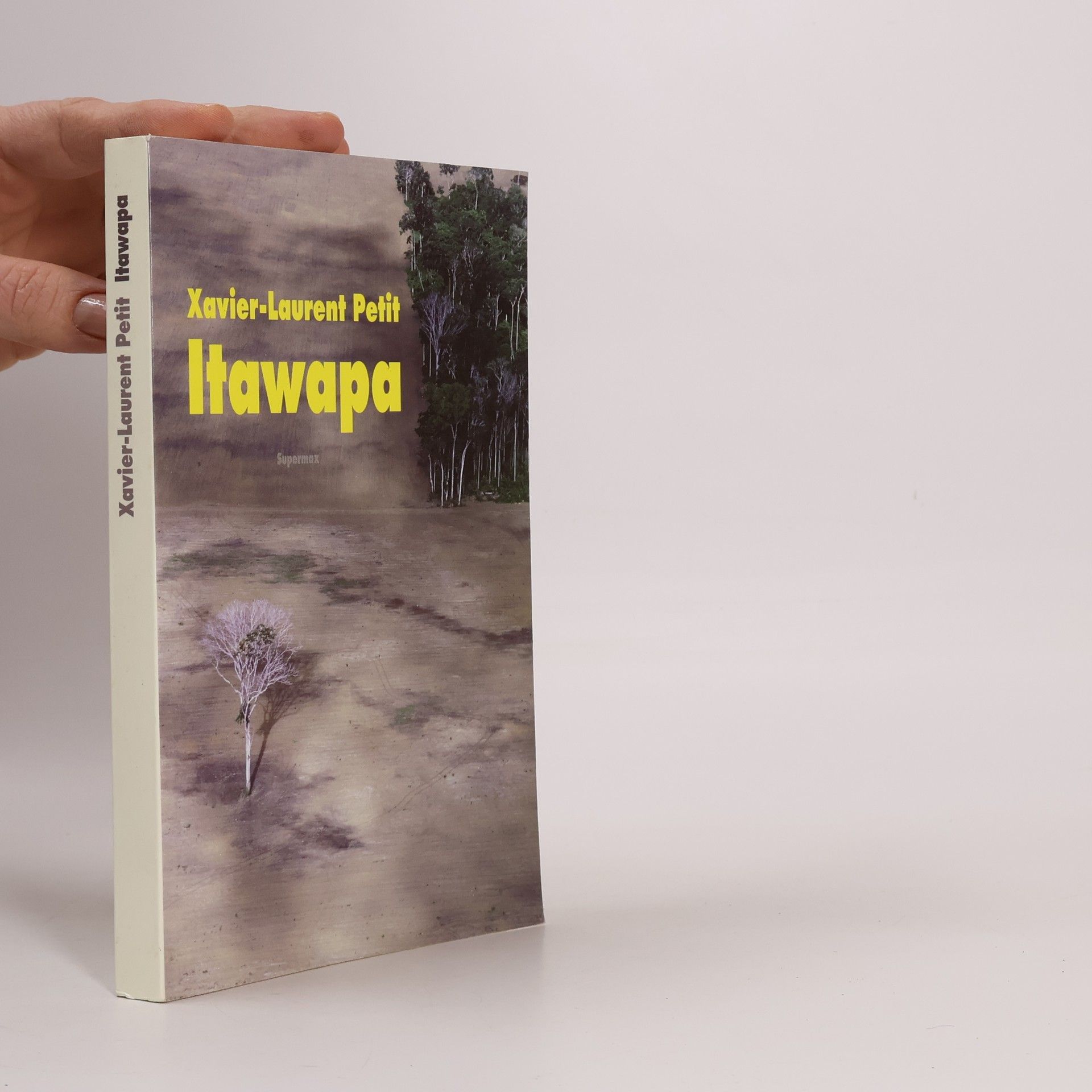 Xavier-Laurent Petit Itawapa