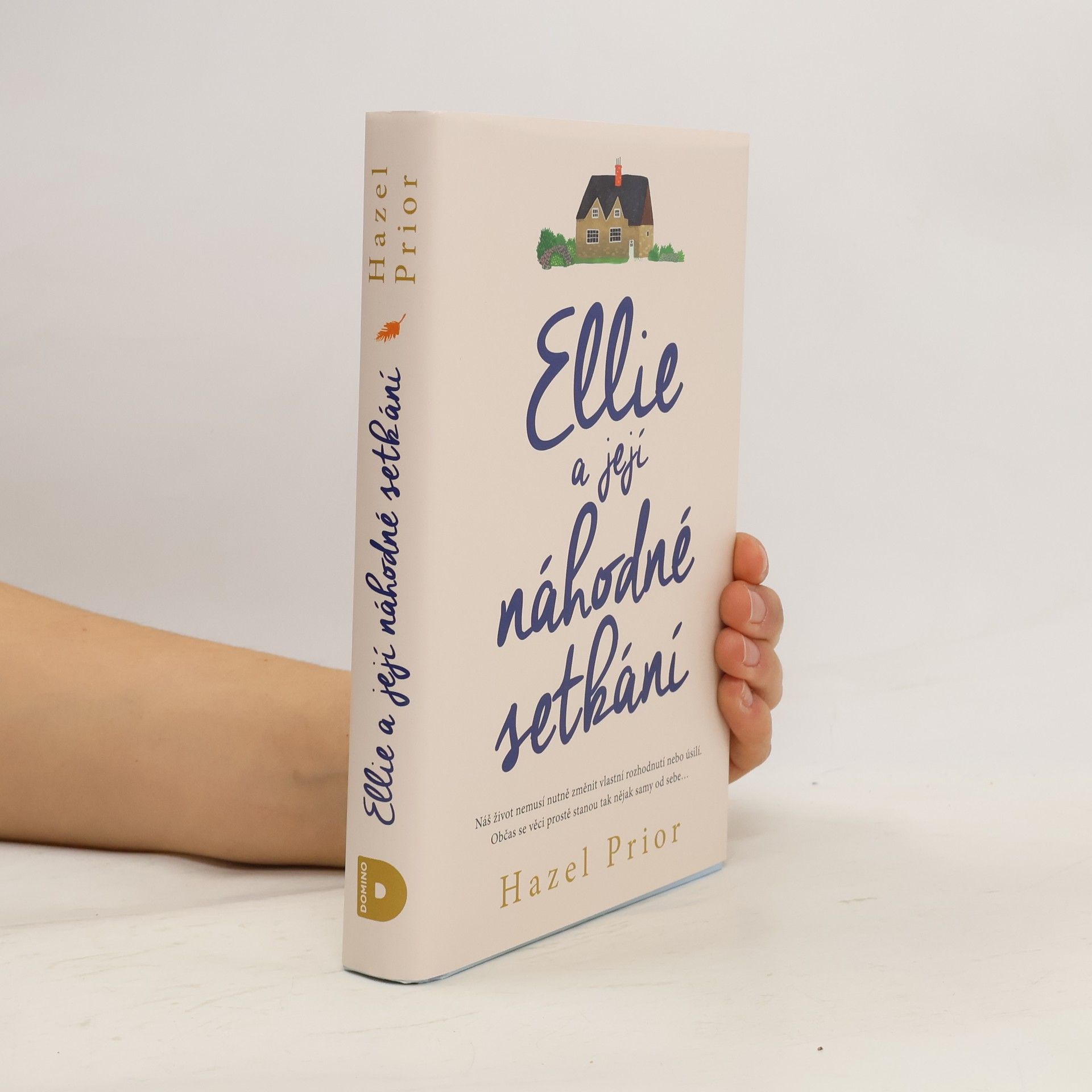 Hazel Prior Ellie a její náhodné setkání