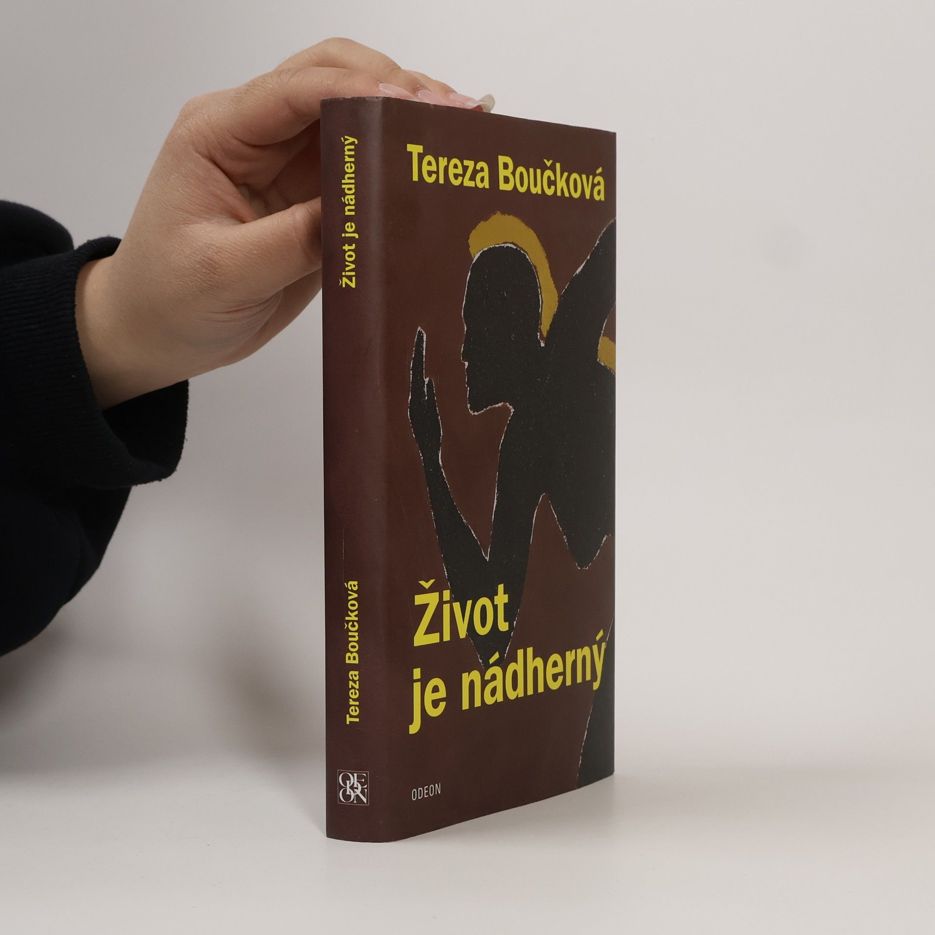 Život je nádherný