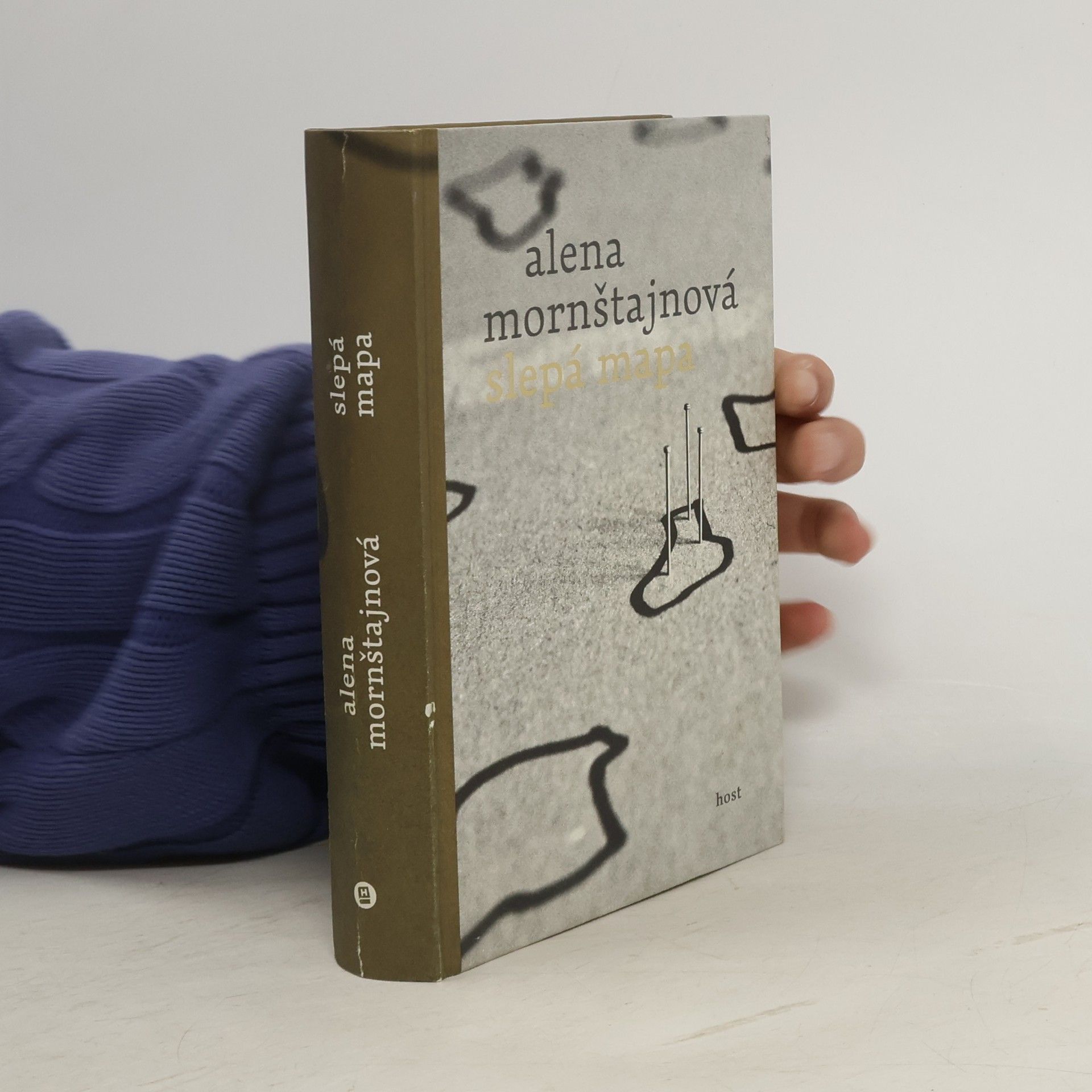 Alena Mornštajnová Slepá mapa