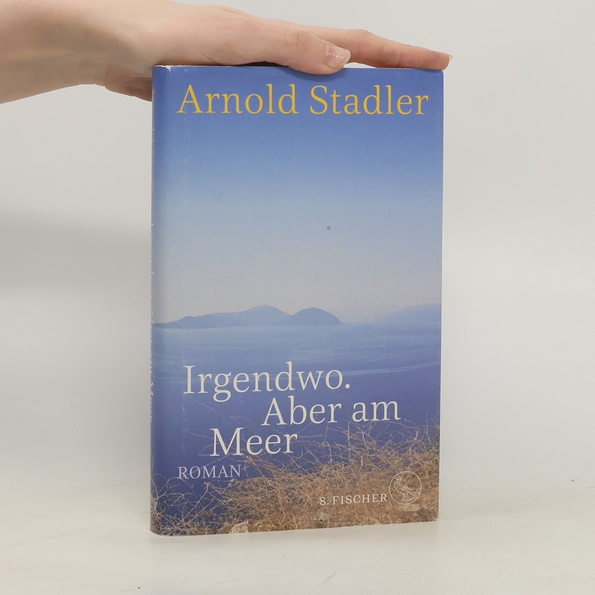 Arnold Stadler Irgendwo, aber am Meer