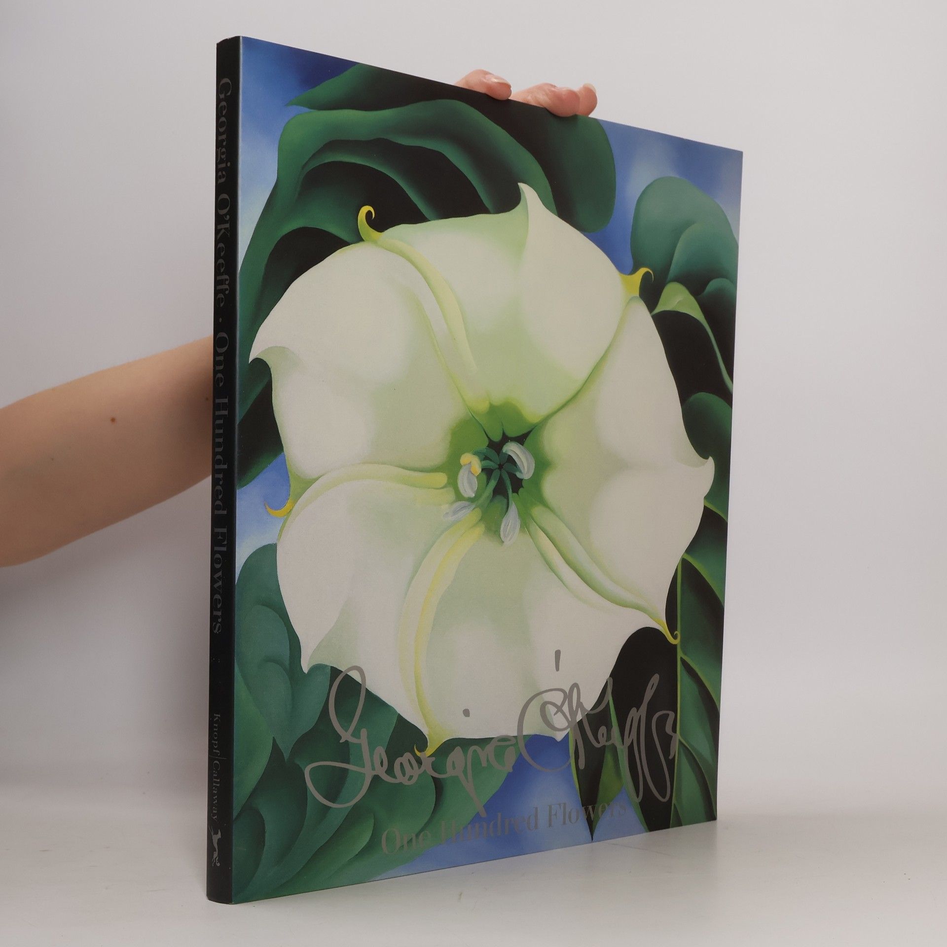 Georgia O'Keeffe Georgia O'Keeffe