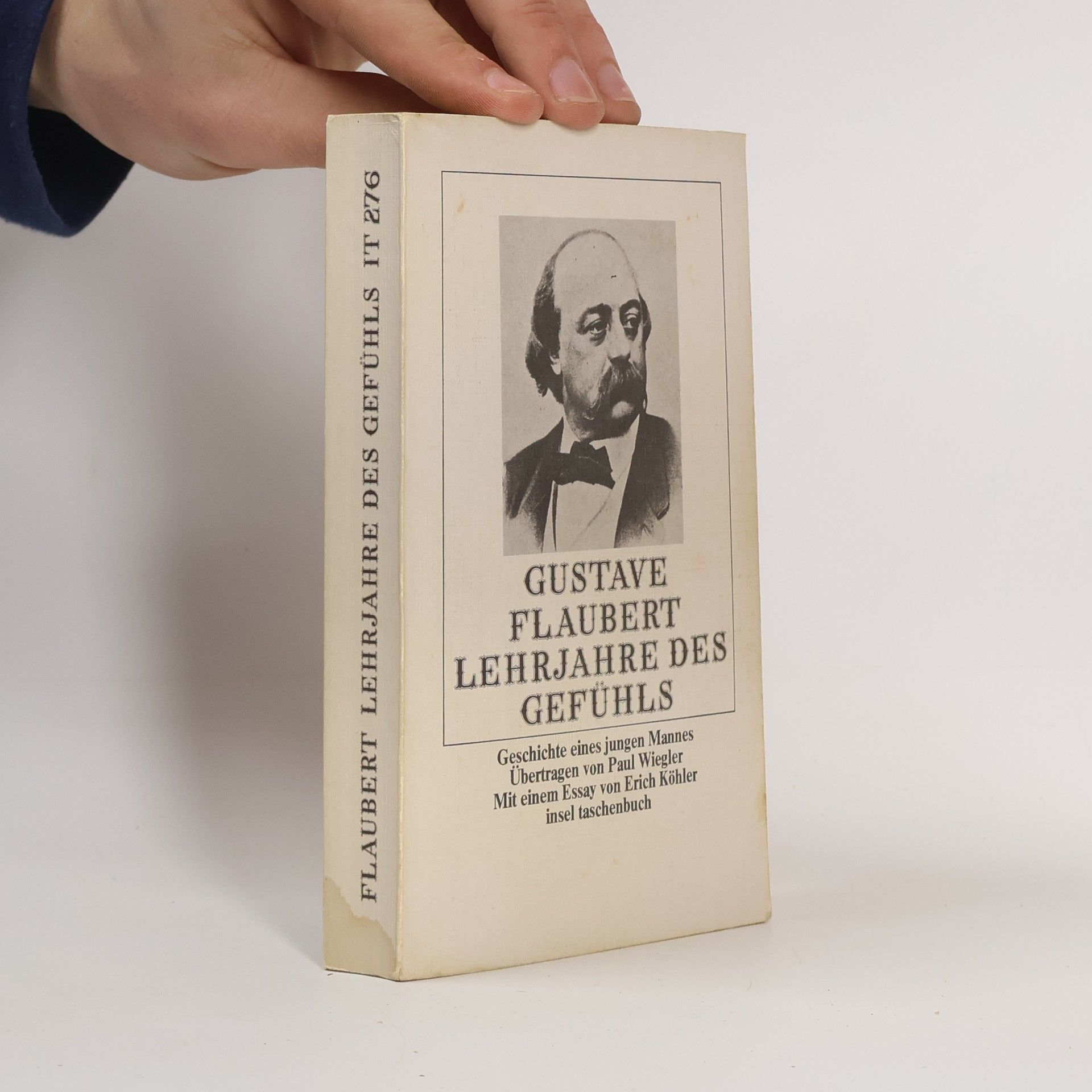 Gustave Flaubert Lehrjahre des Gefühls