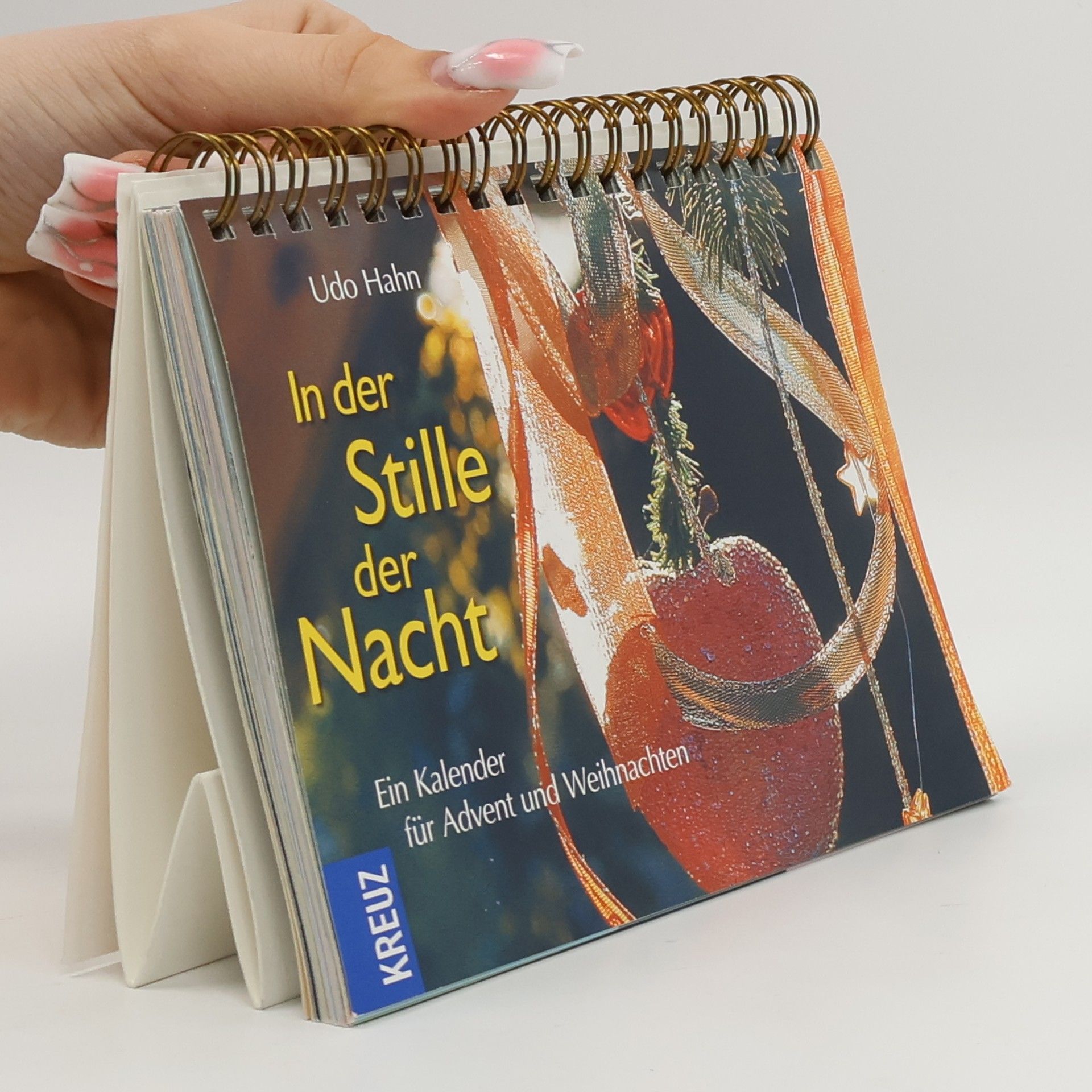 Udo Hahn In der Stille der Nacht