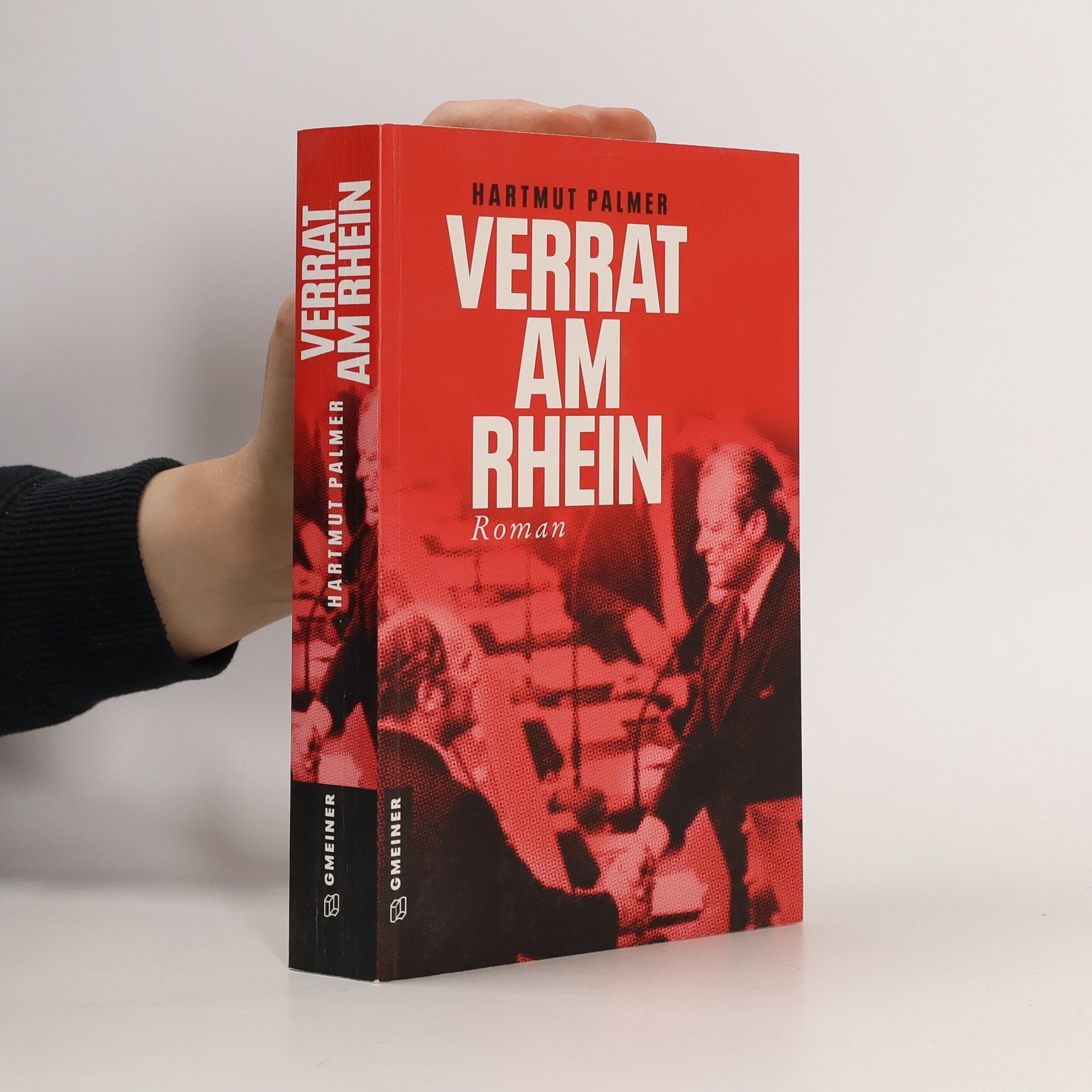Hartmut Palmer Verrat am Rhein
